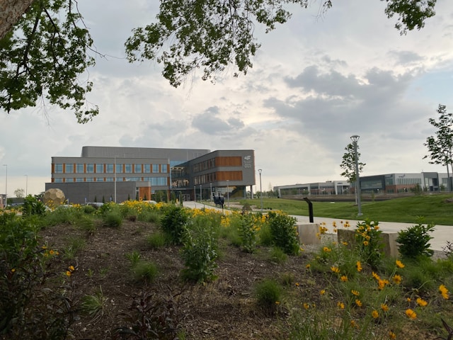 Lewis and Clark State College