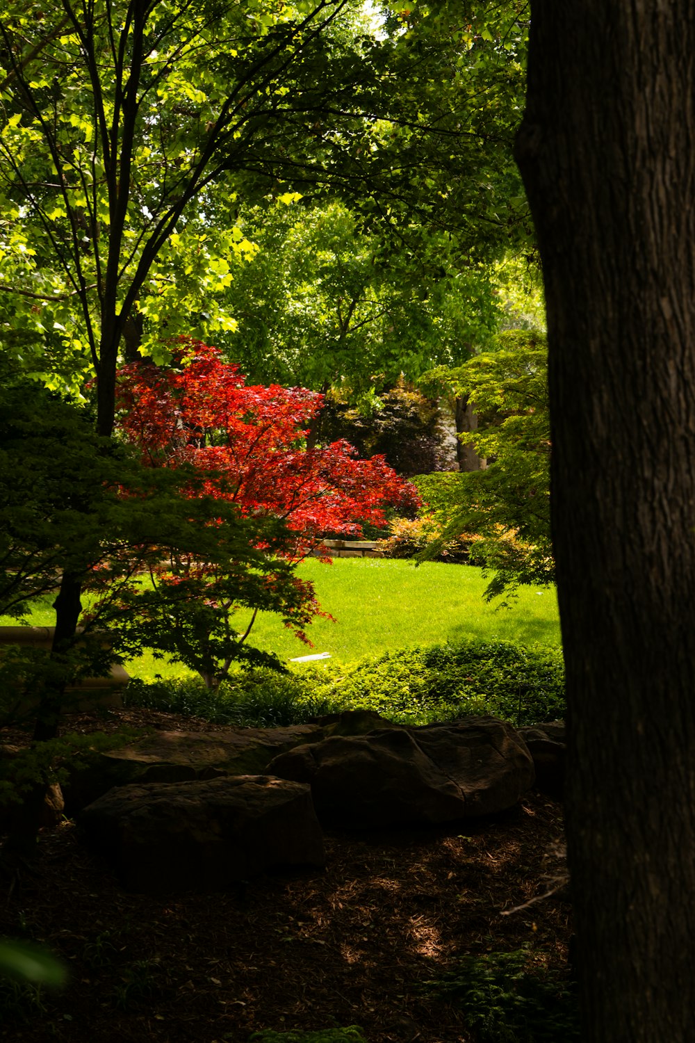 a lush green field surrounded by trees and rocks