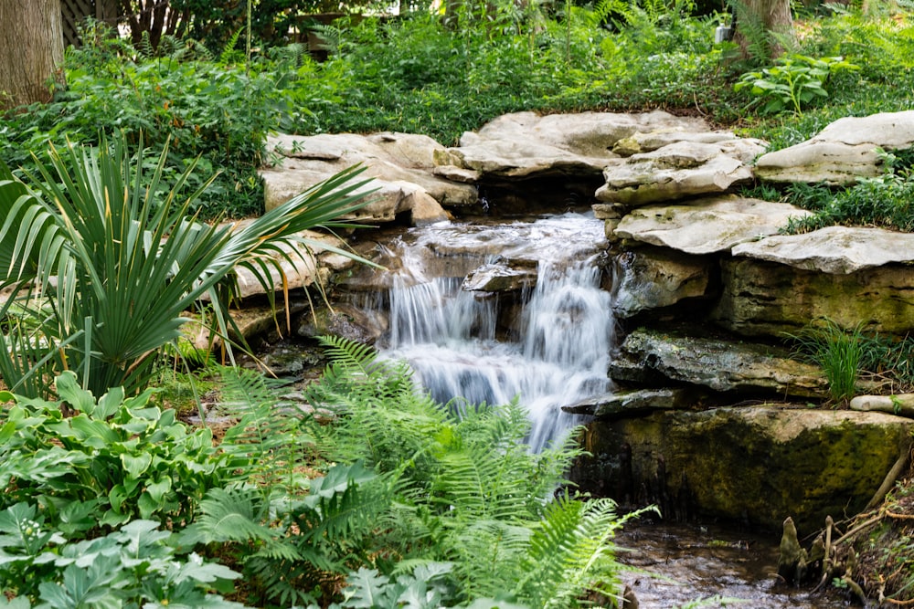 a small waterfall running through a lush green forest