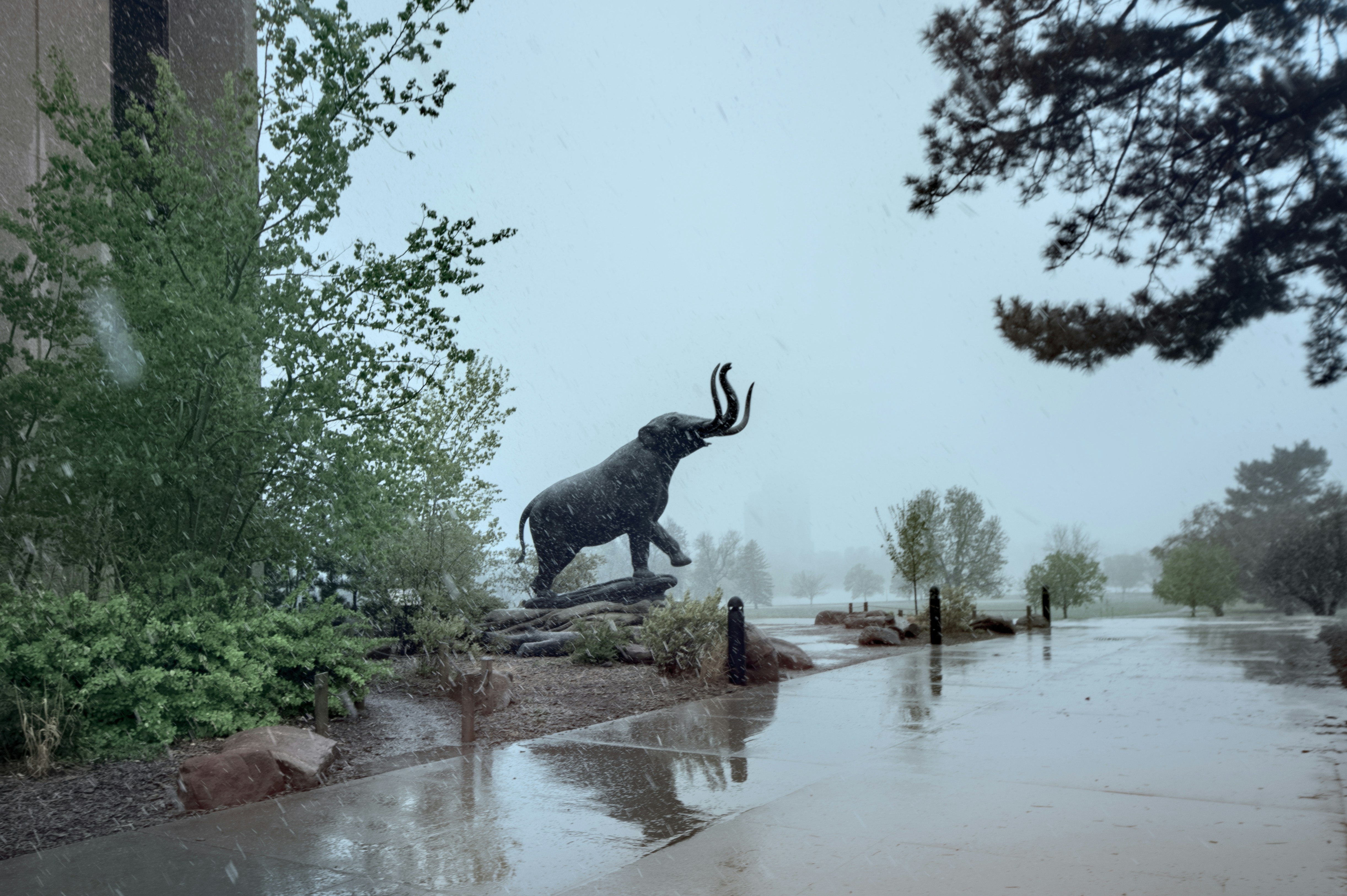 a statue of an elephant on a rock in the rain