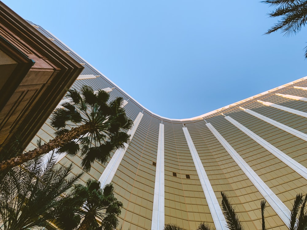 looking up at a tall building with palm trees in front of it