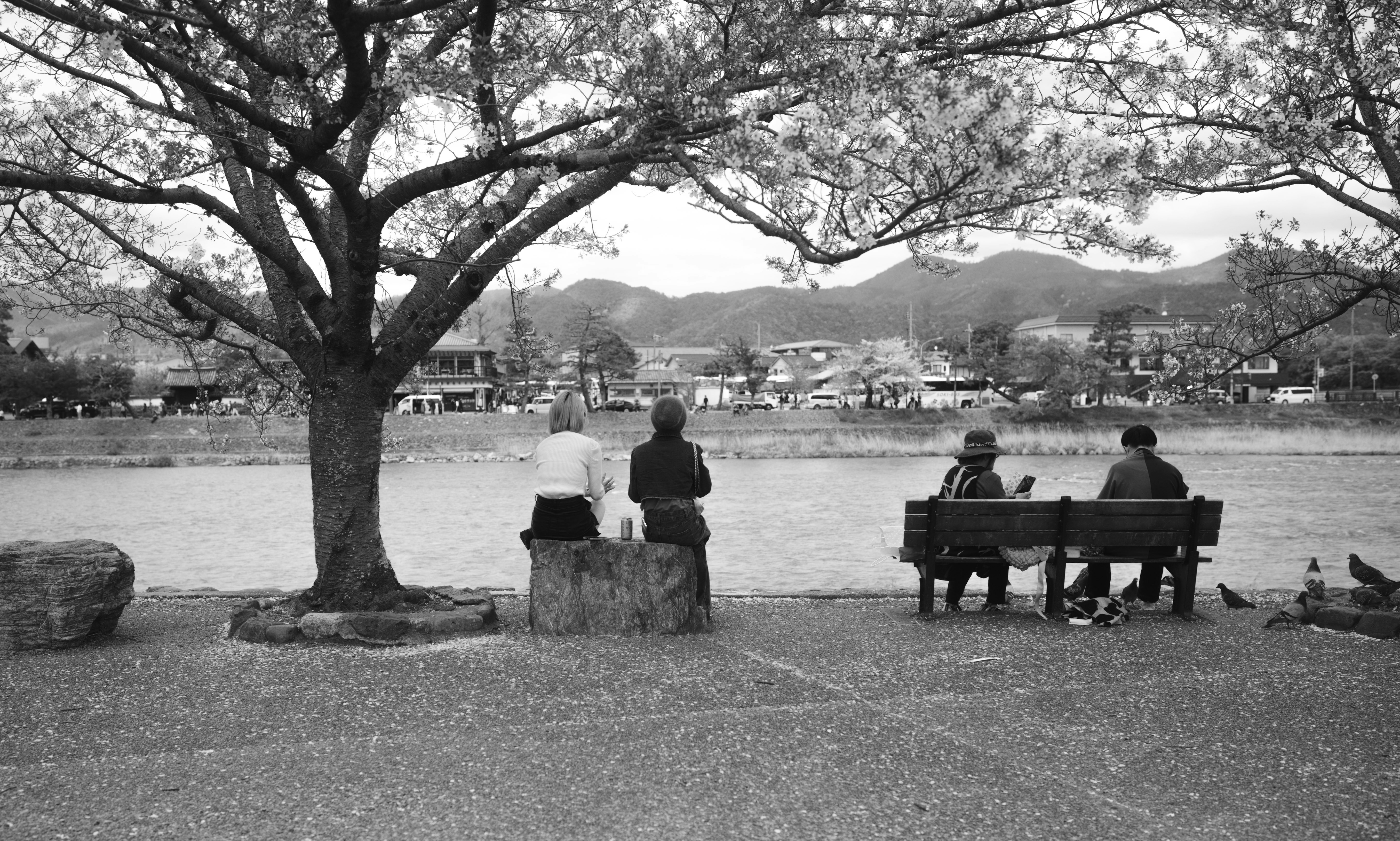 eine Gruppe von Menschen, die auf einer Parkbank sitzen