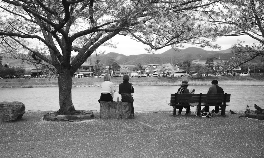 公園のベンチの上に座る人々のグループ