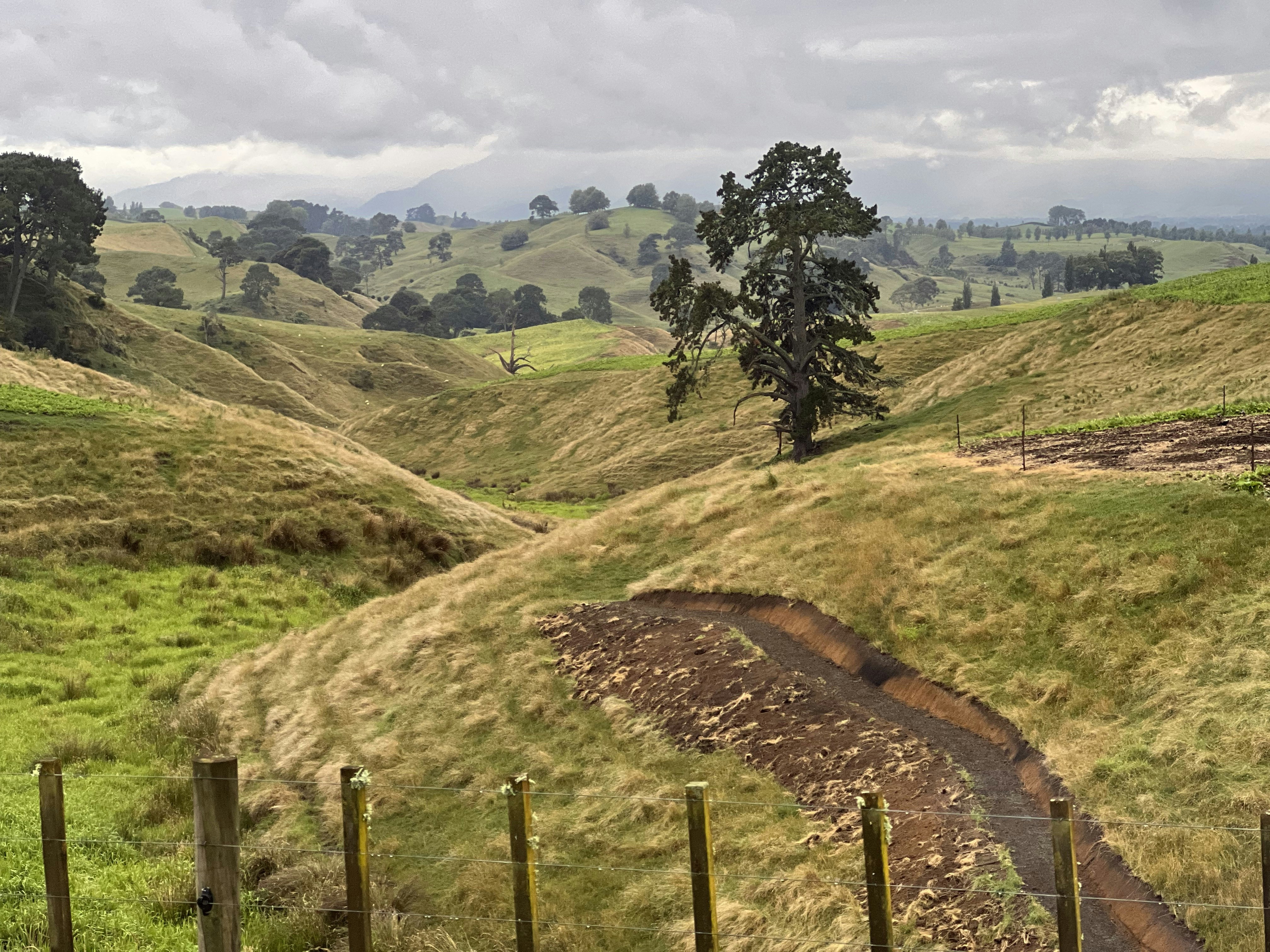 Photo by ajthejetsetter