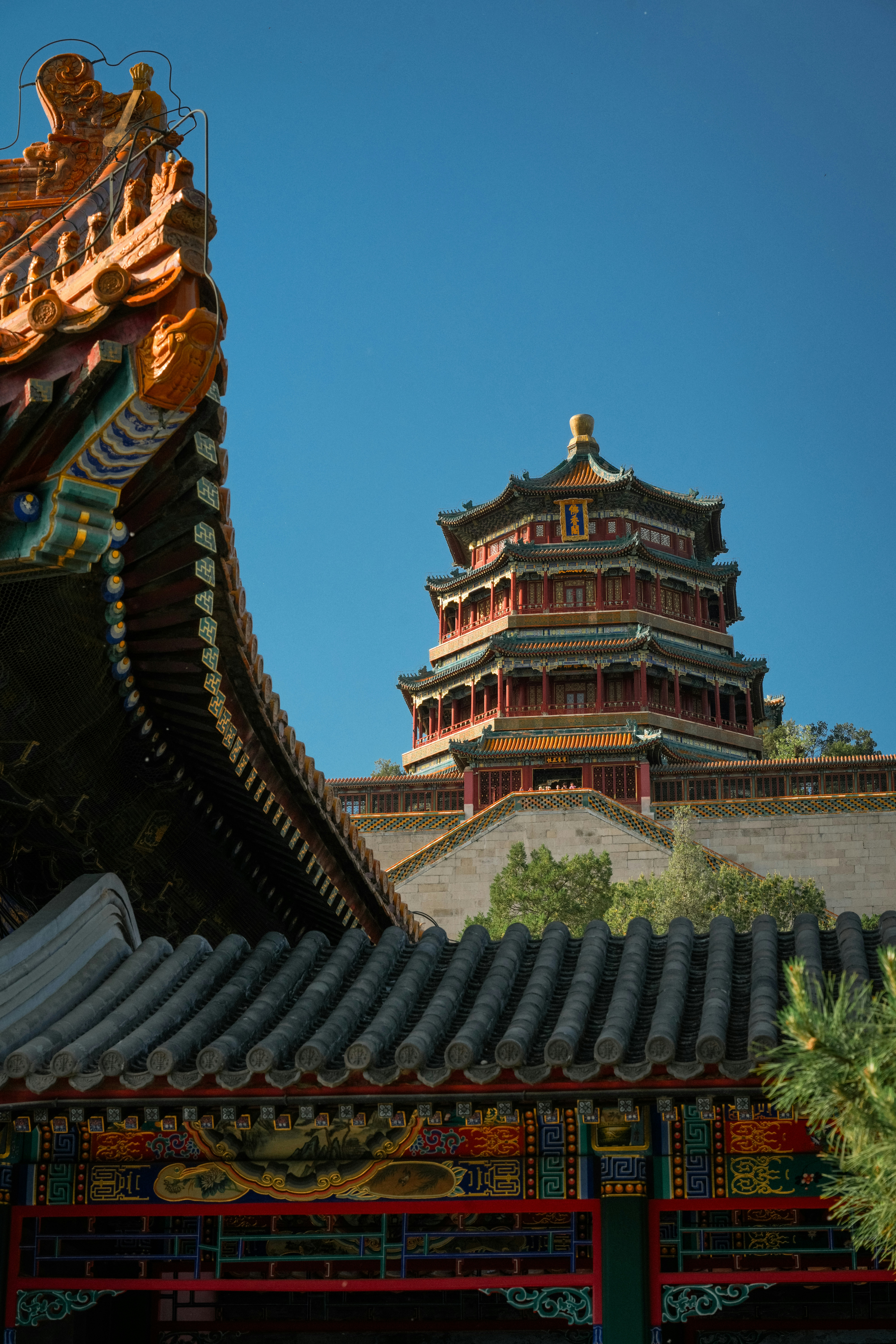 Photo by hattrick1996