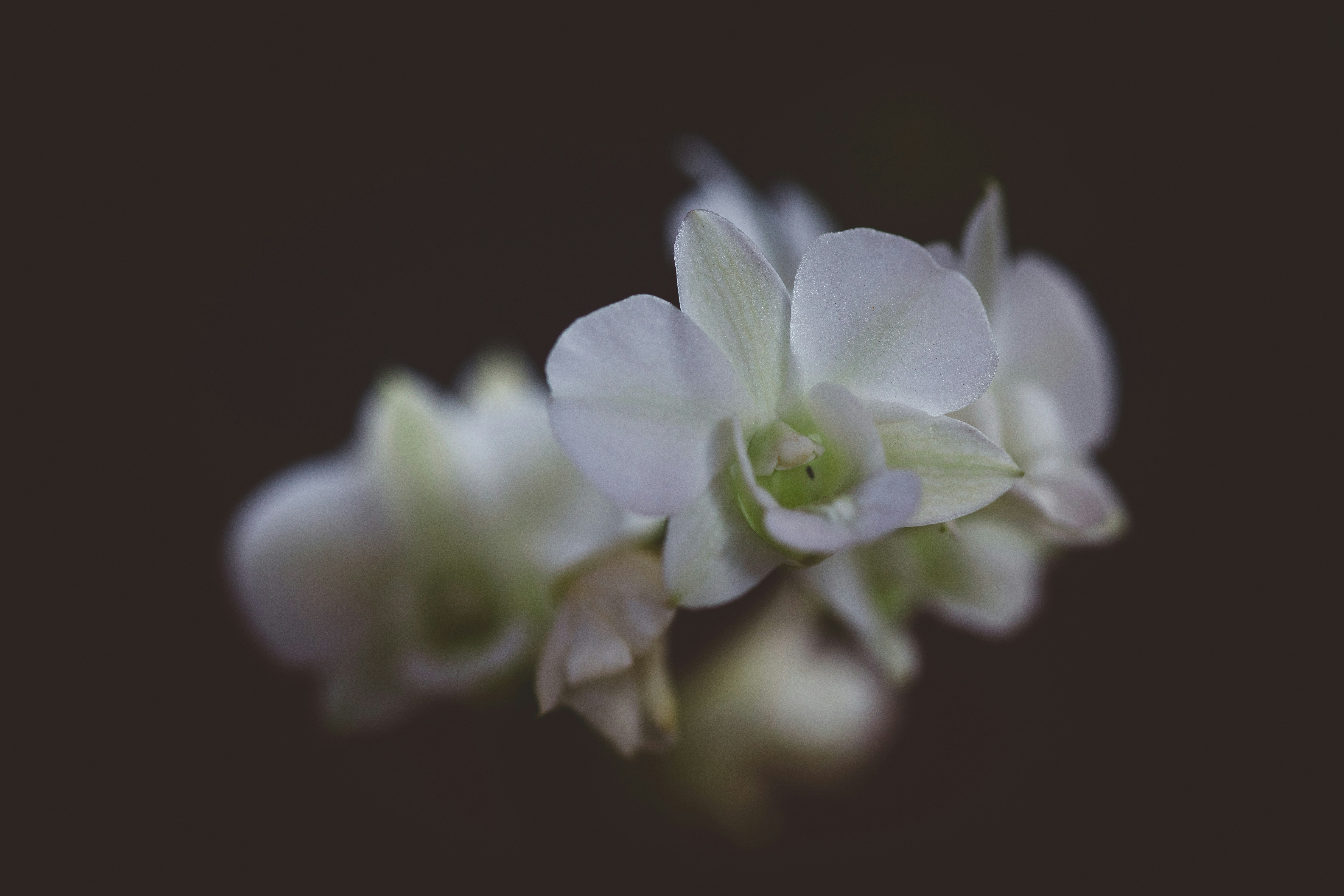 Photo by rrodriguesim