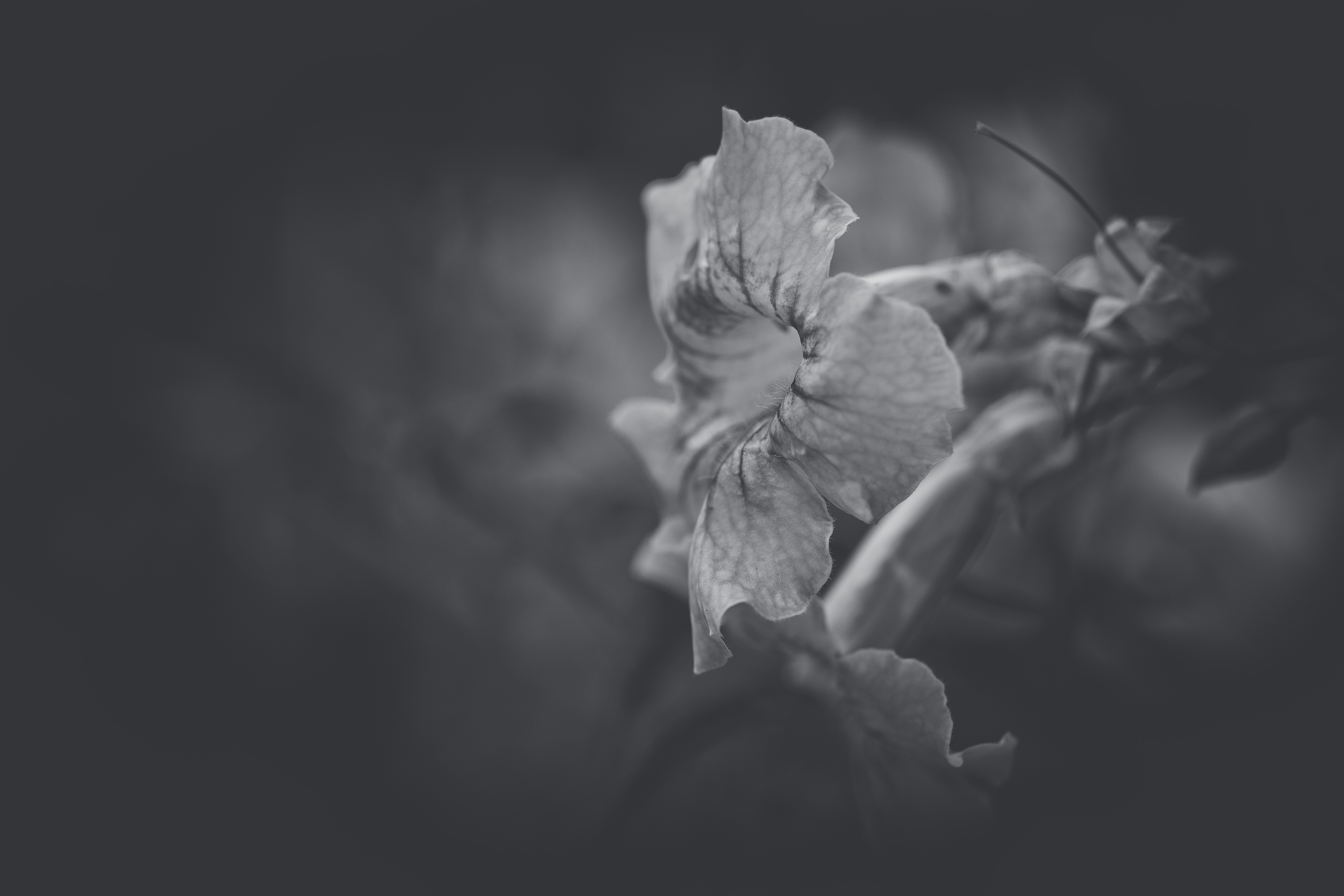 Photo by rrodriguesim