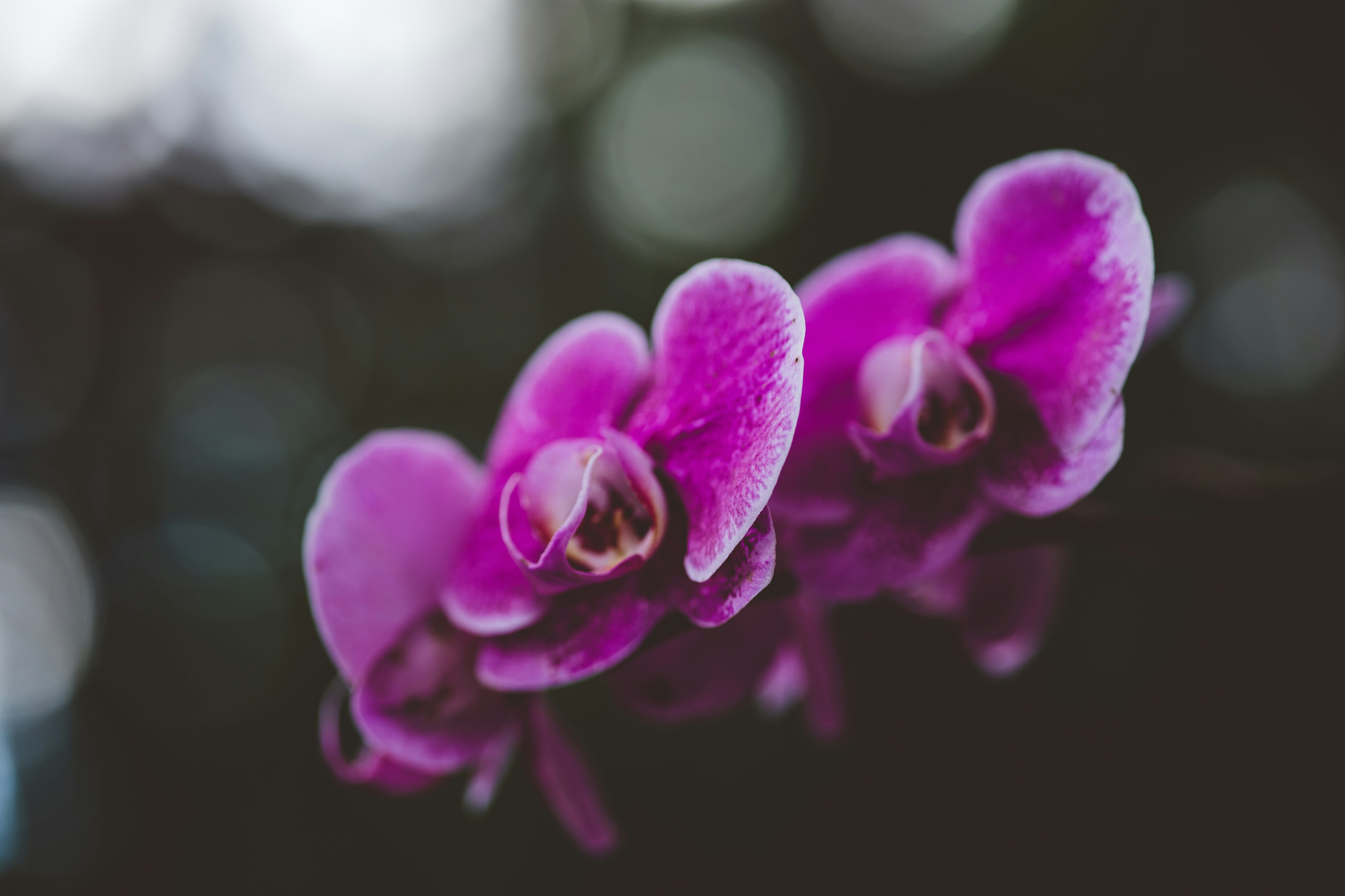 Photo by rrodriguesim