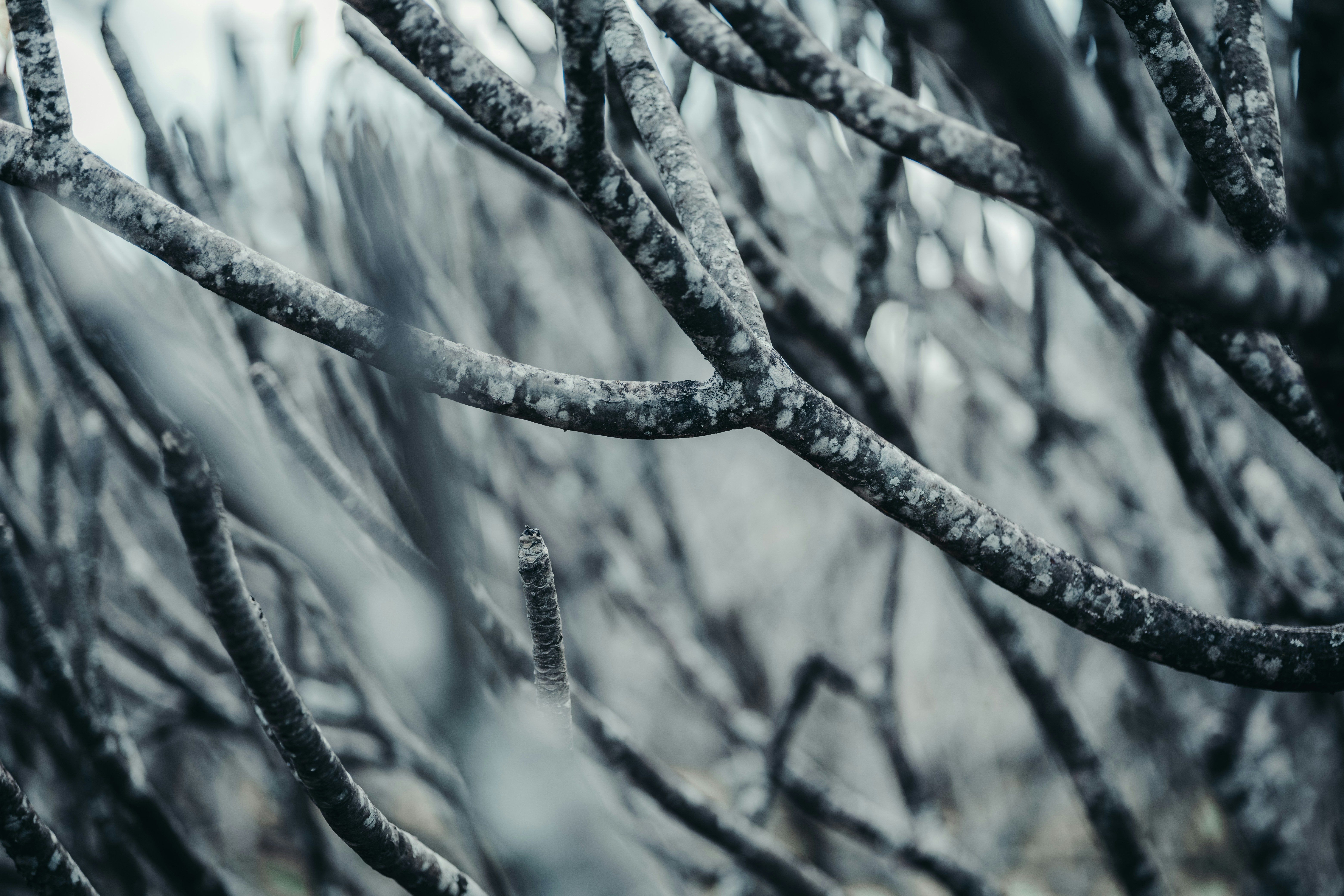 Photo by rrodriguesim