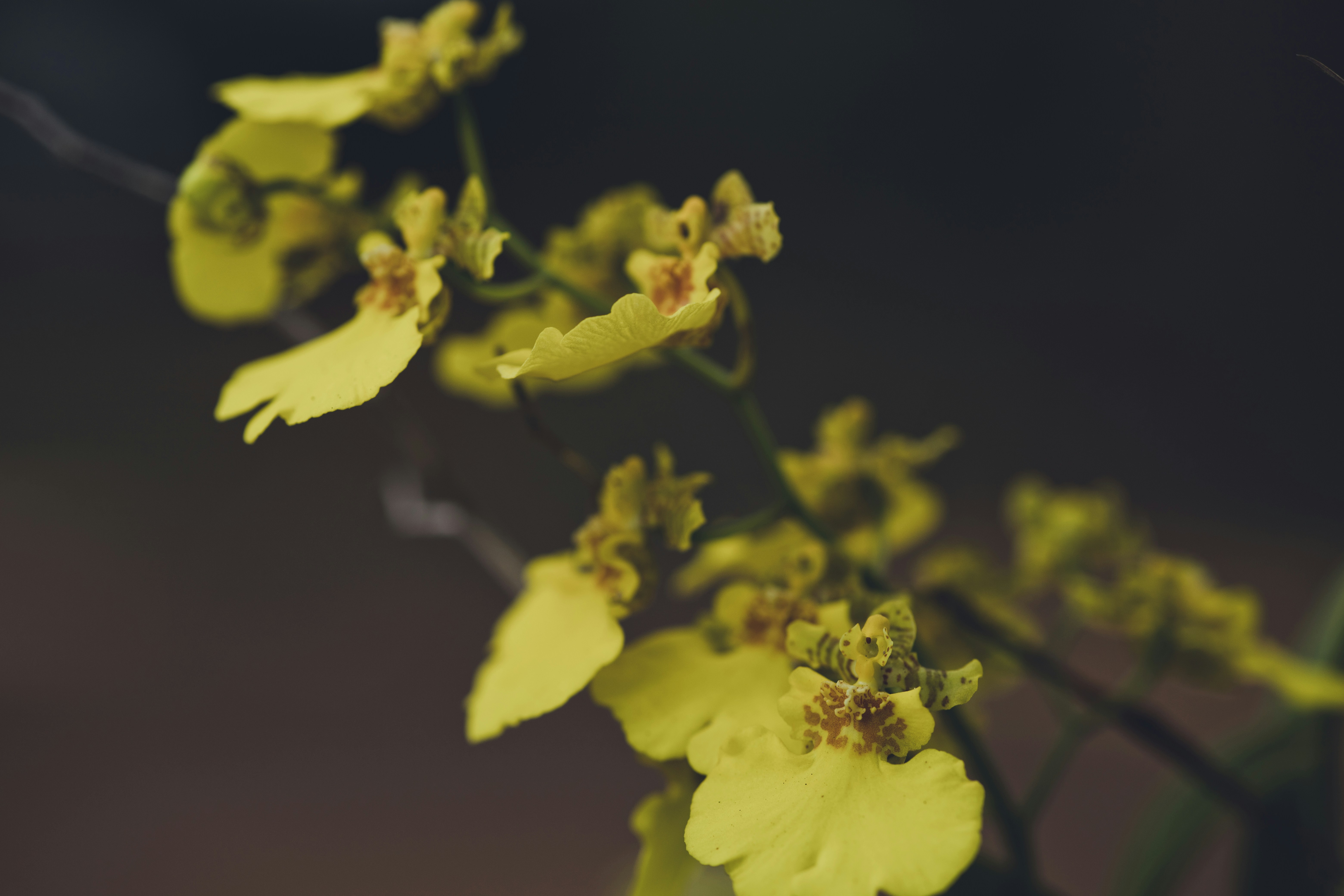 Photo by rrodriguesim