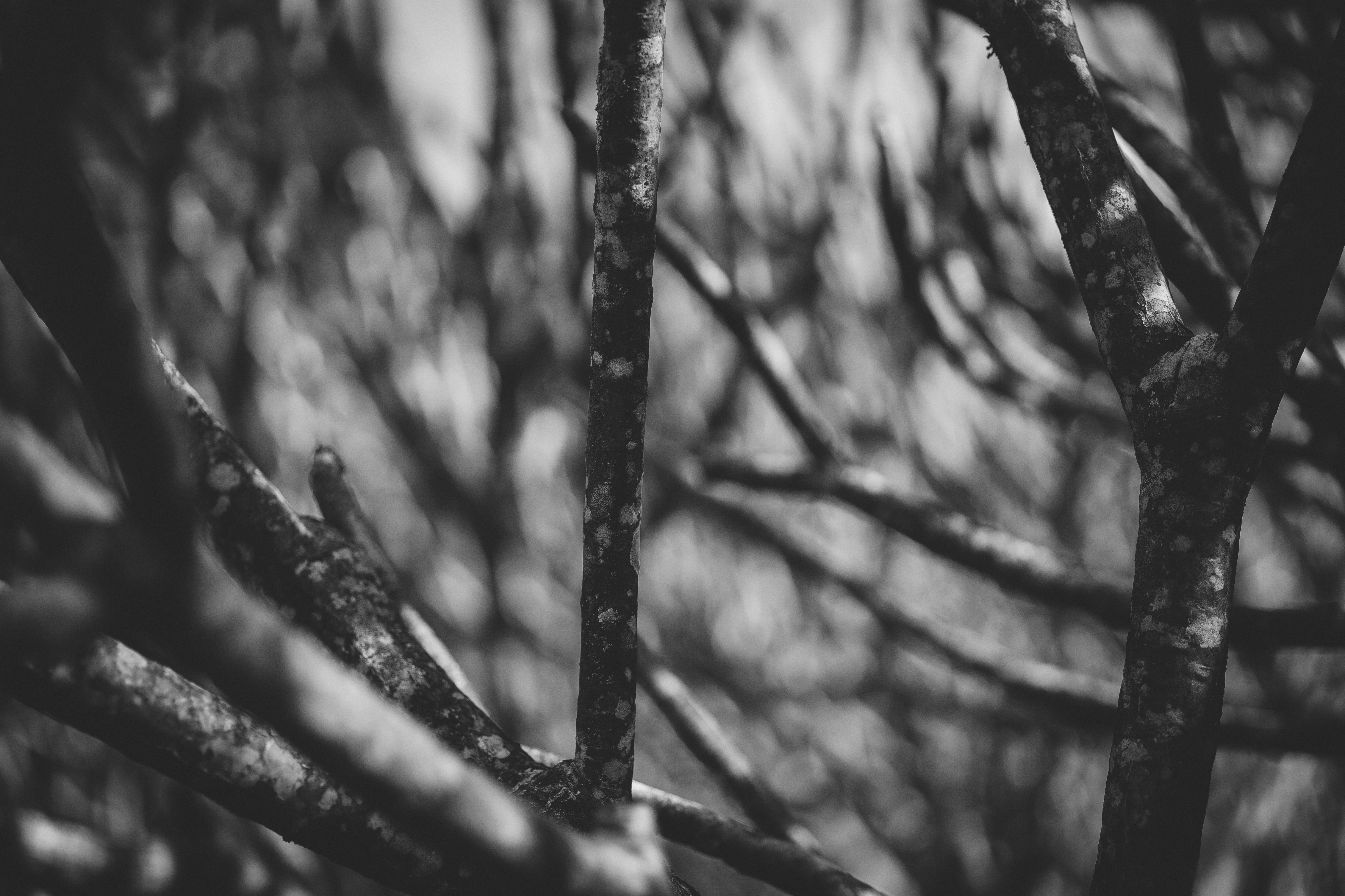 Photo by rrodriguesim