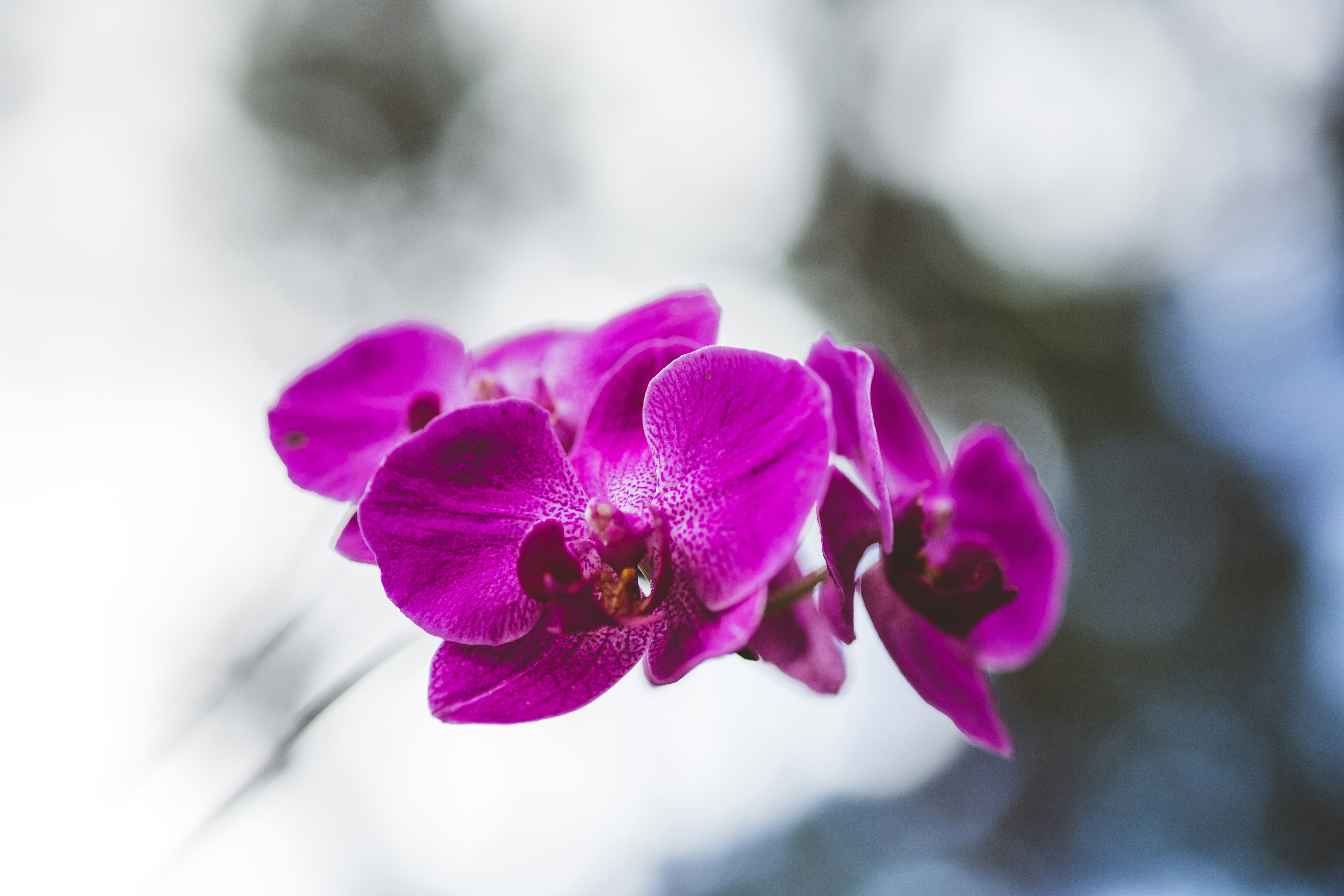 Photo by rrodriguesim