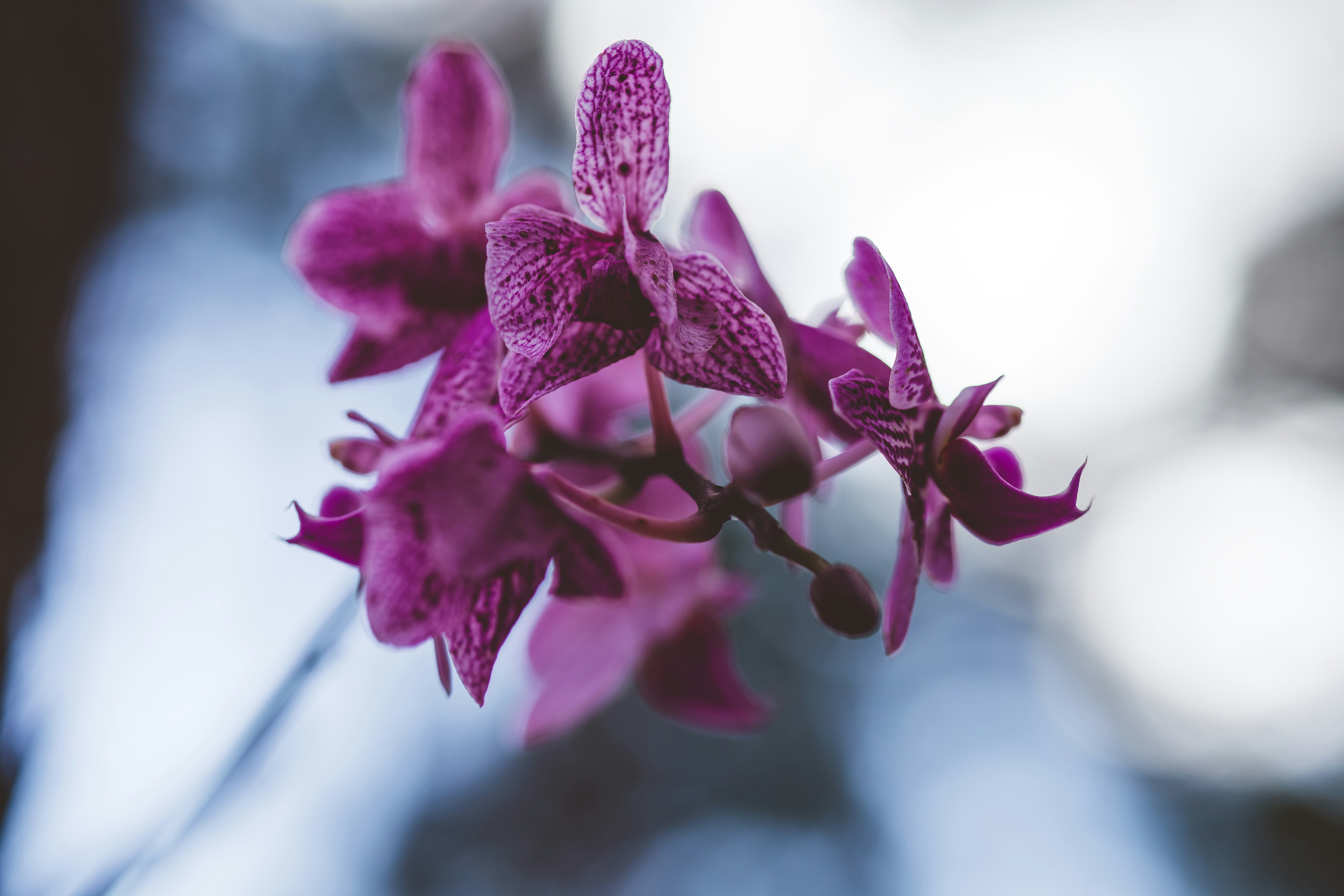 Photo by rrodriguesim