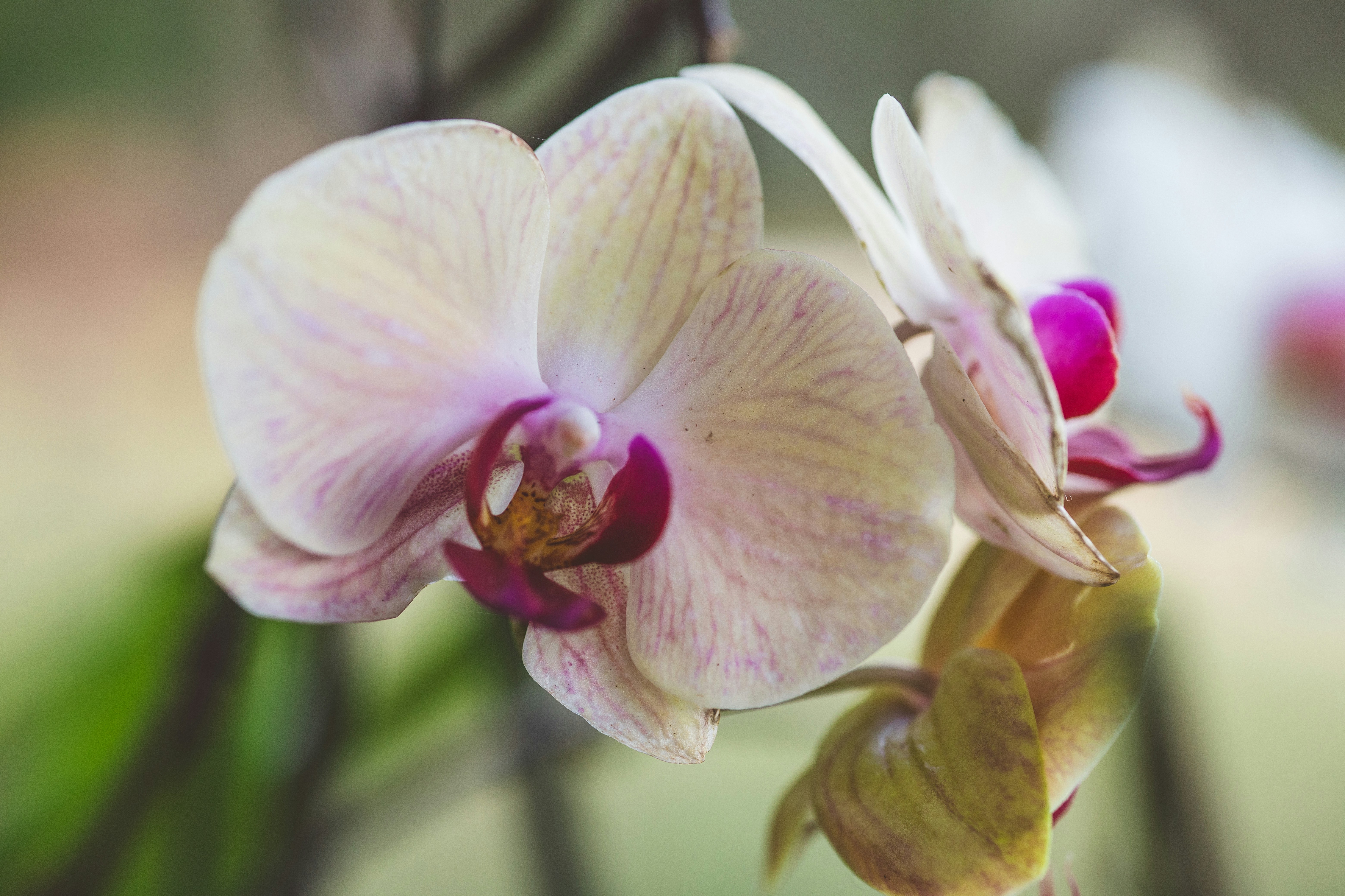 Photo by rrodriguesim