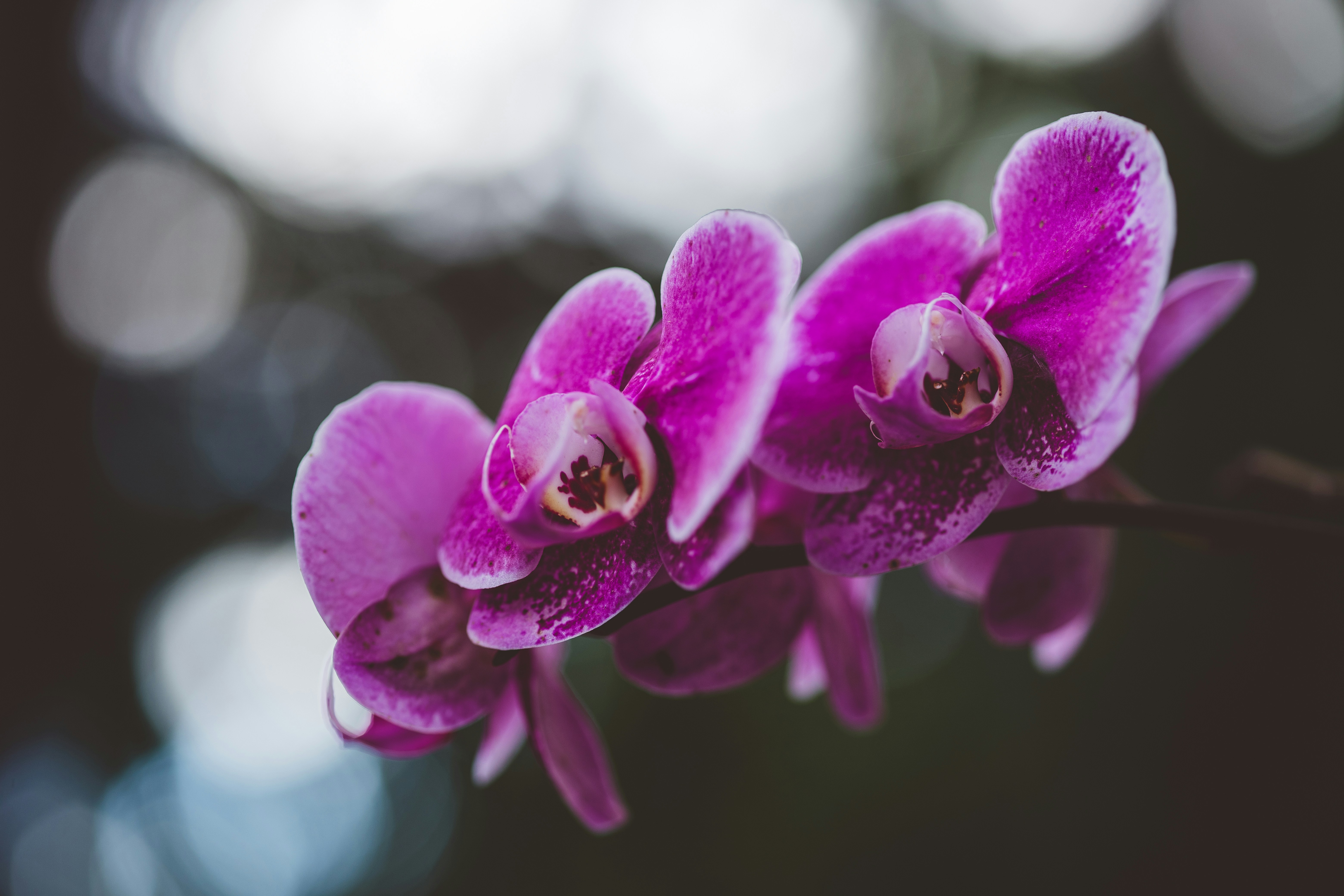 Photo by rrodriguesim