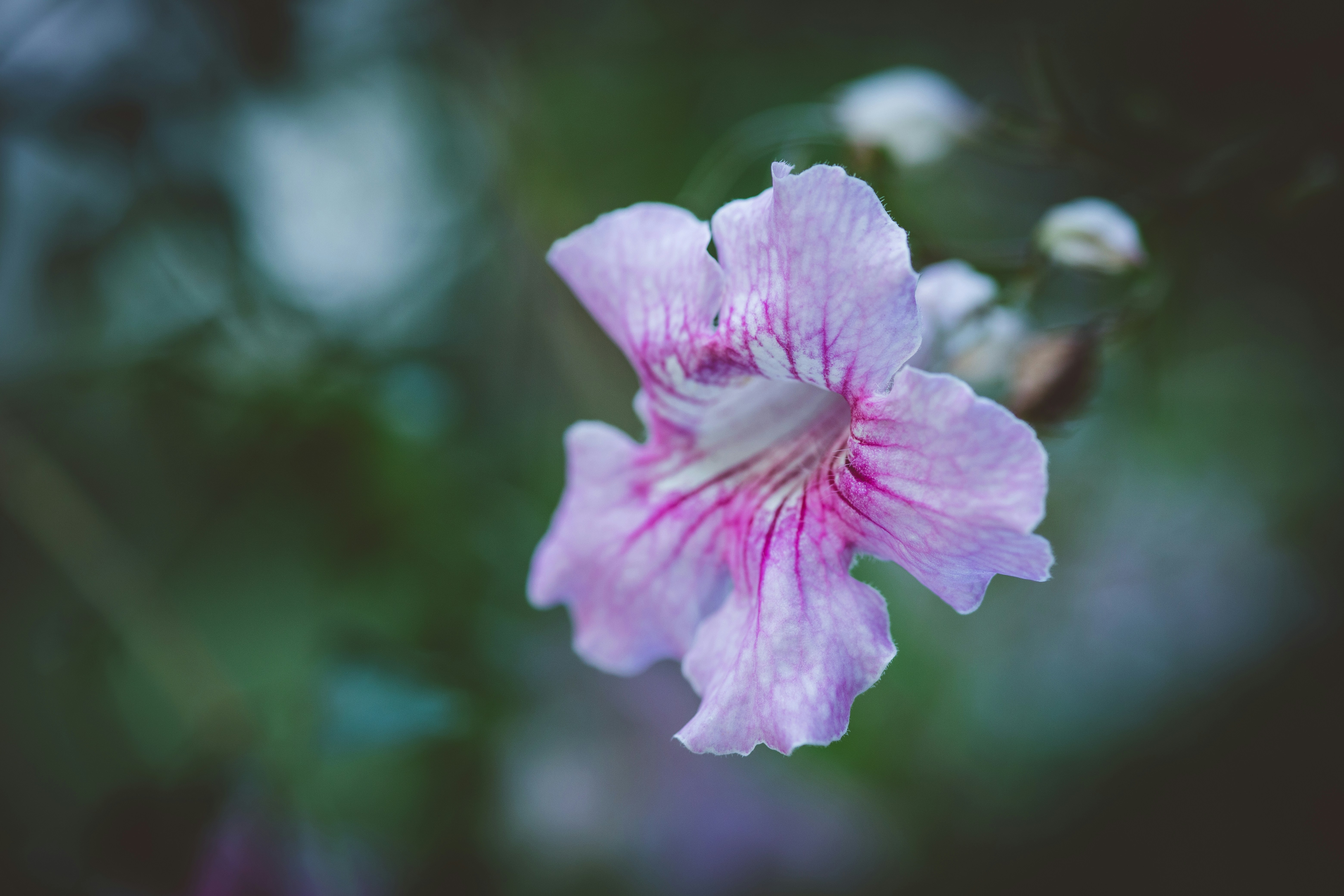 Photo by rrodriguesim