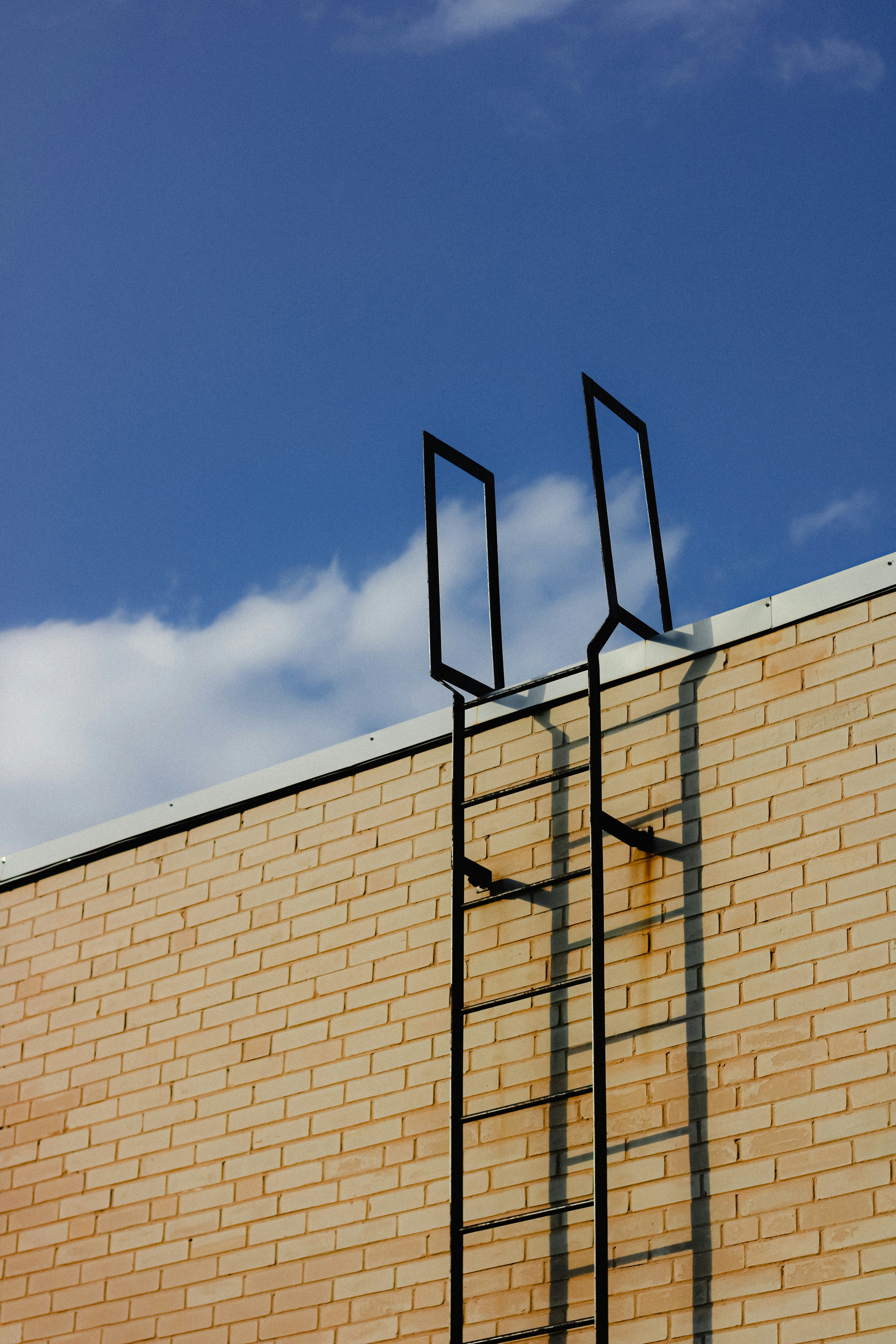 a brick wall with a ladder going up to the top of it