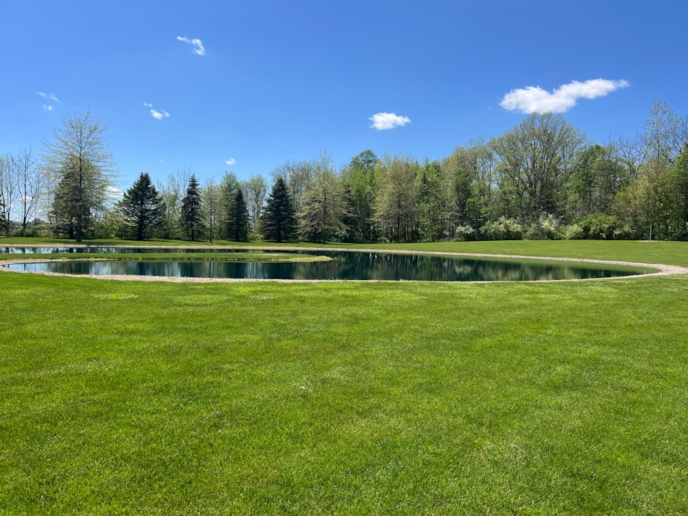 a pond in the middle of a grassy field