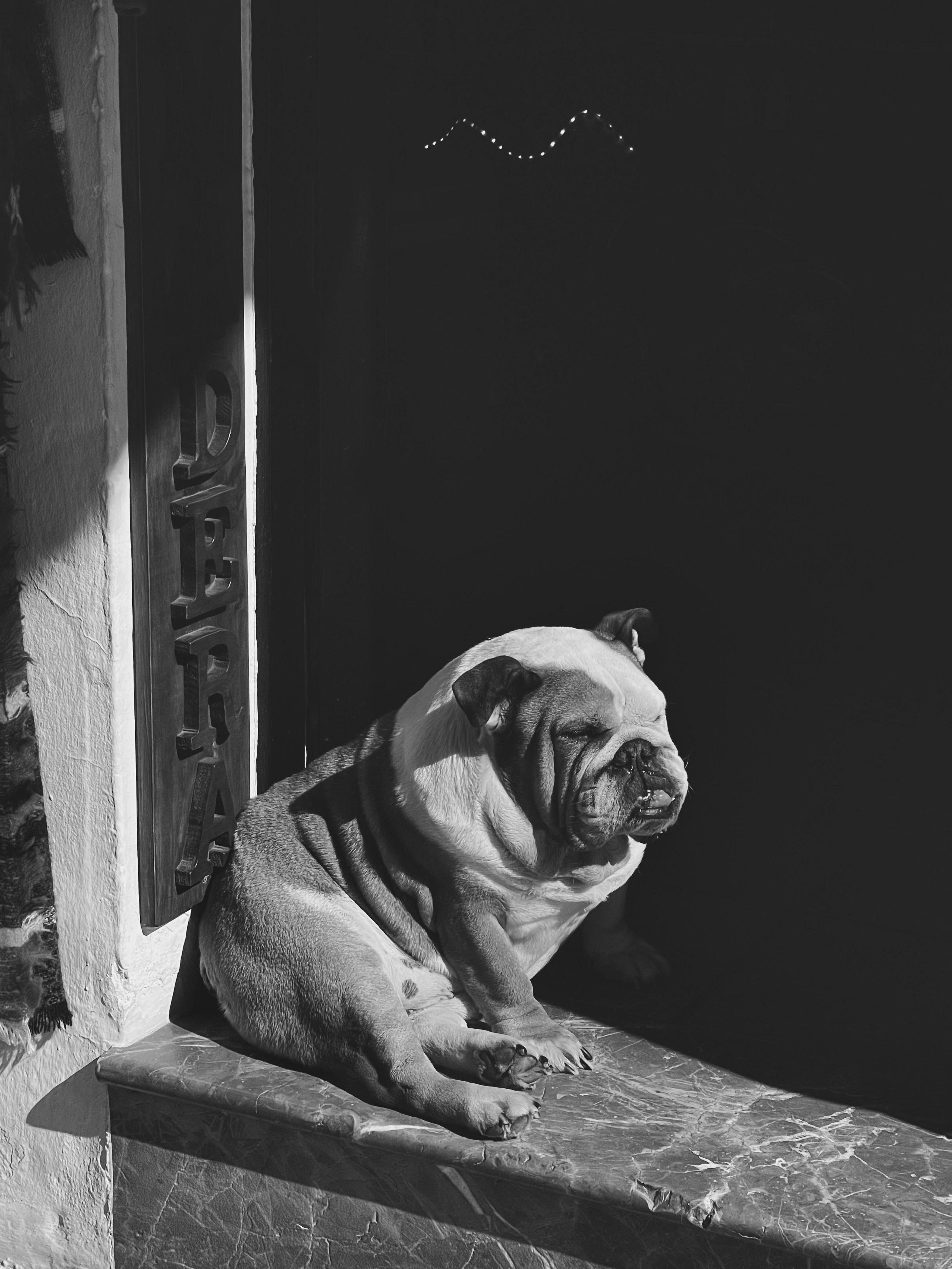 une photo en noir et blanc d’un chien assis sur un rebord