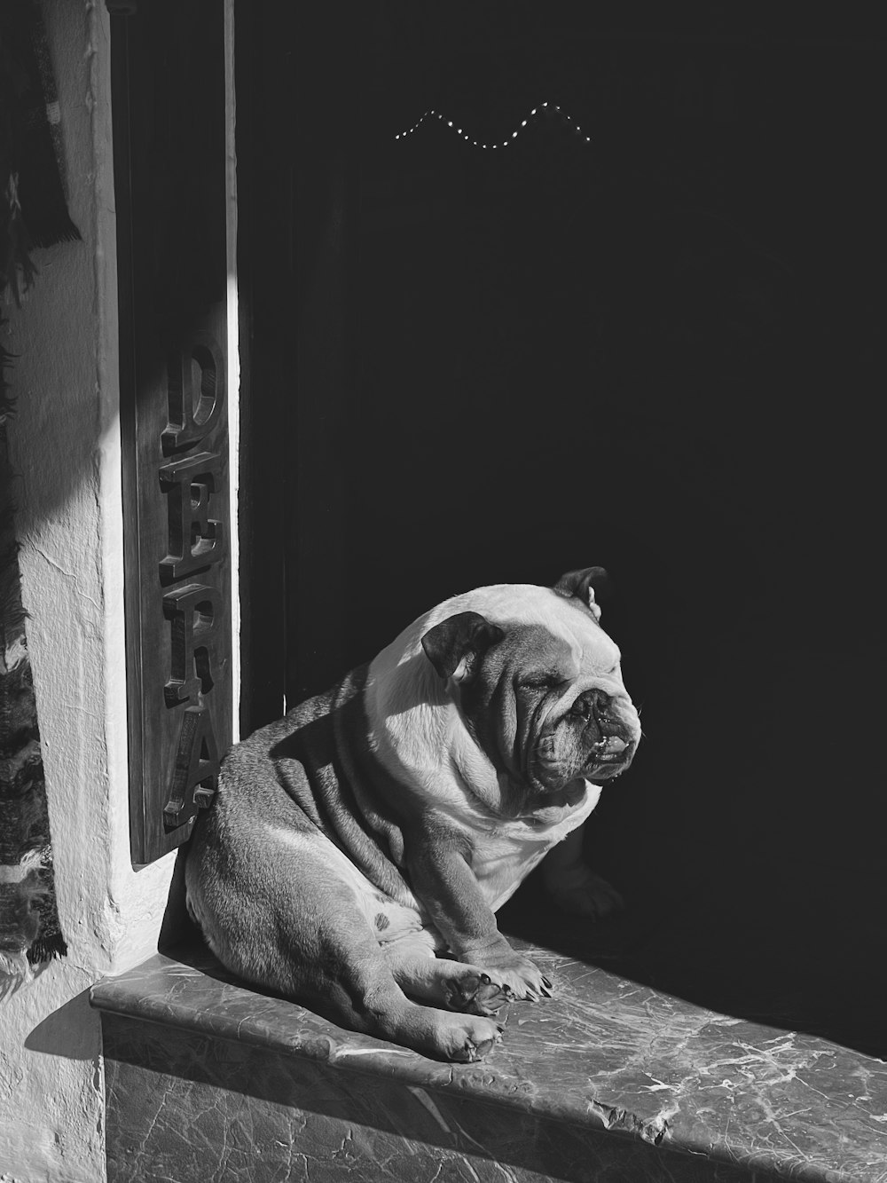 Una foto en blanco y negro de un perro sentado en una repisa
