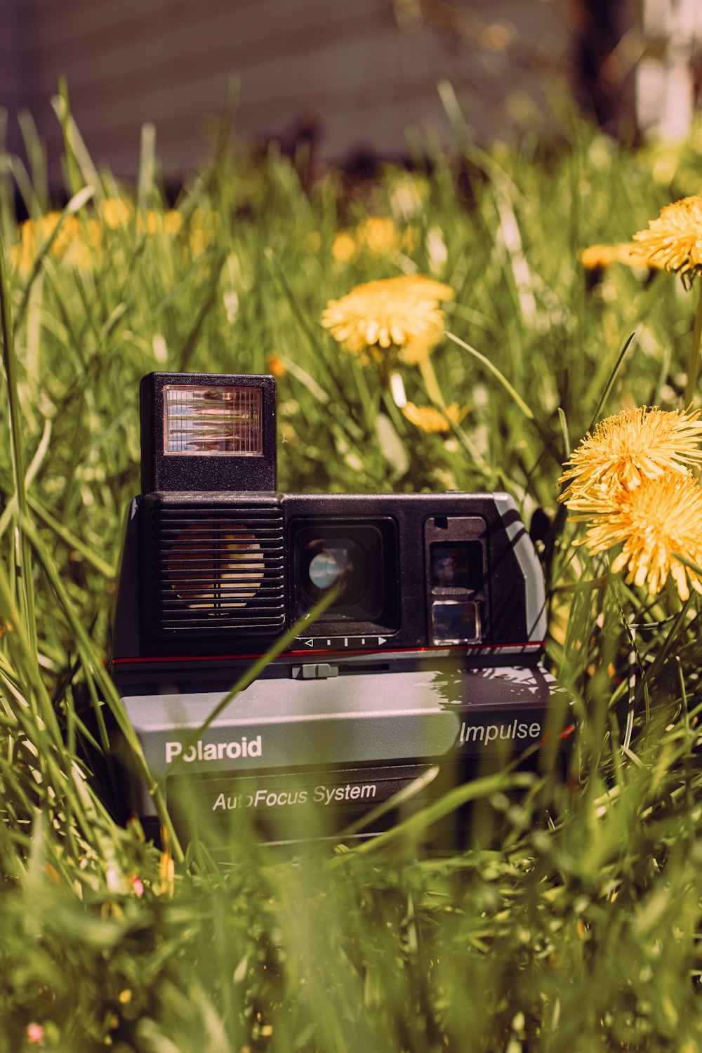a camera sitting in the middle of a field of dandelions
