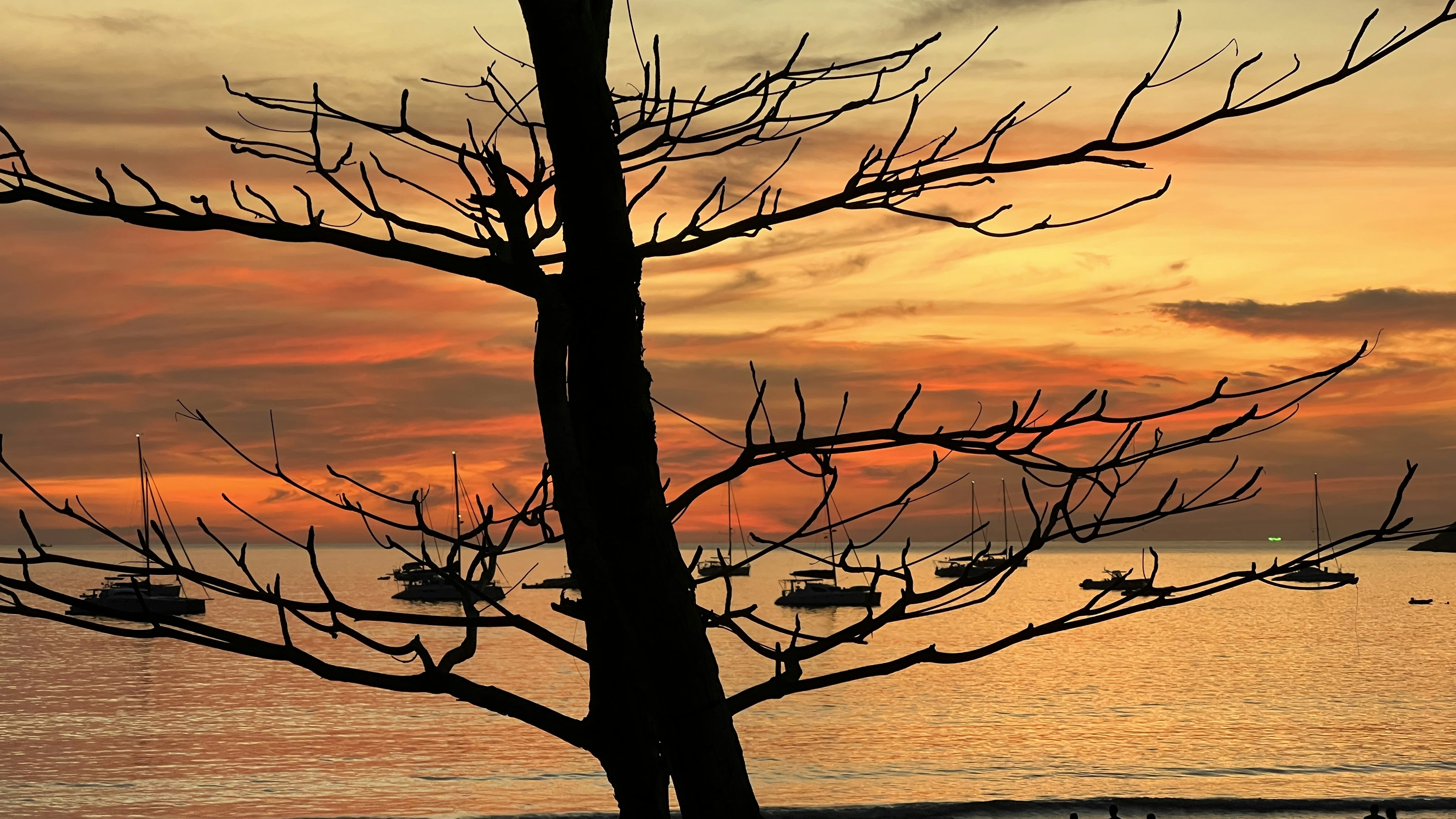 Photo by silverkblack