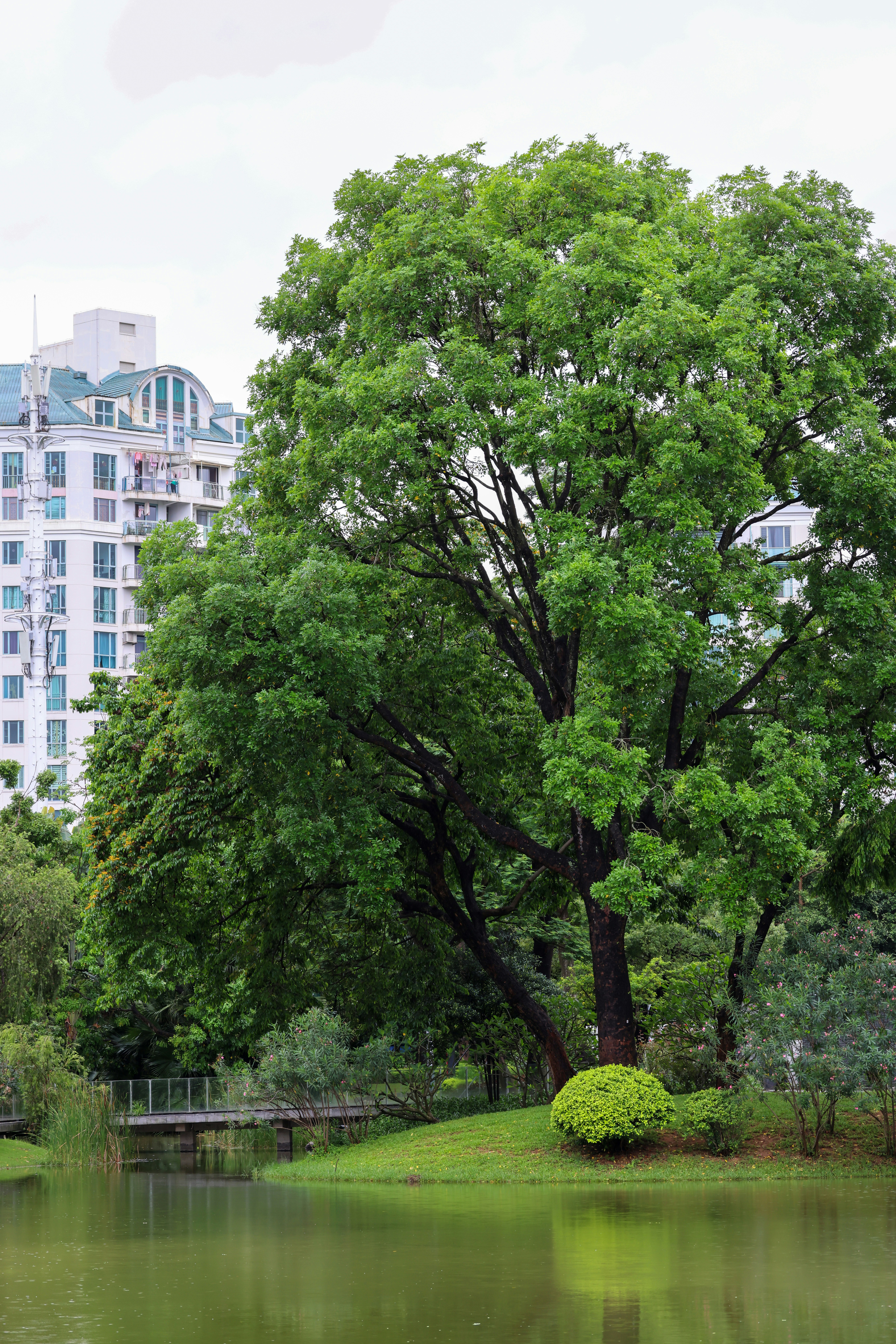 Photo by dickenslin76