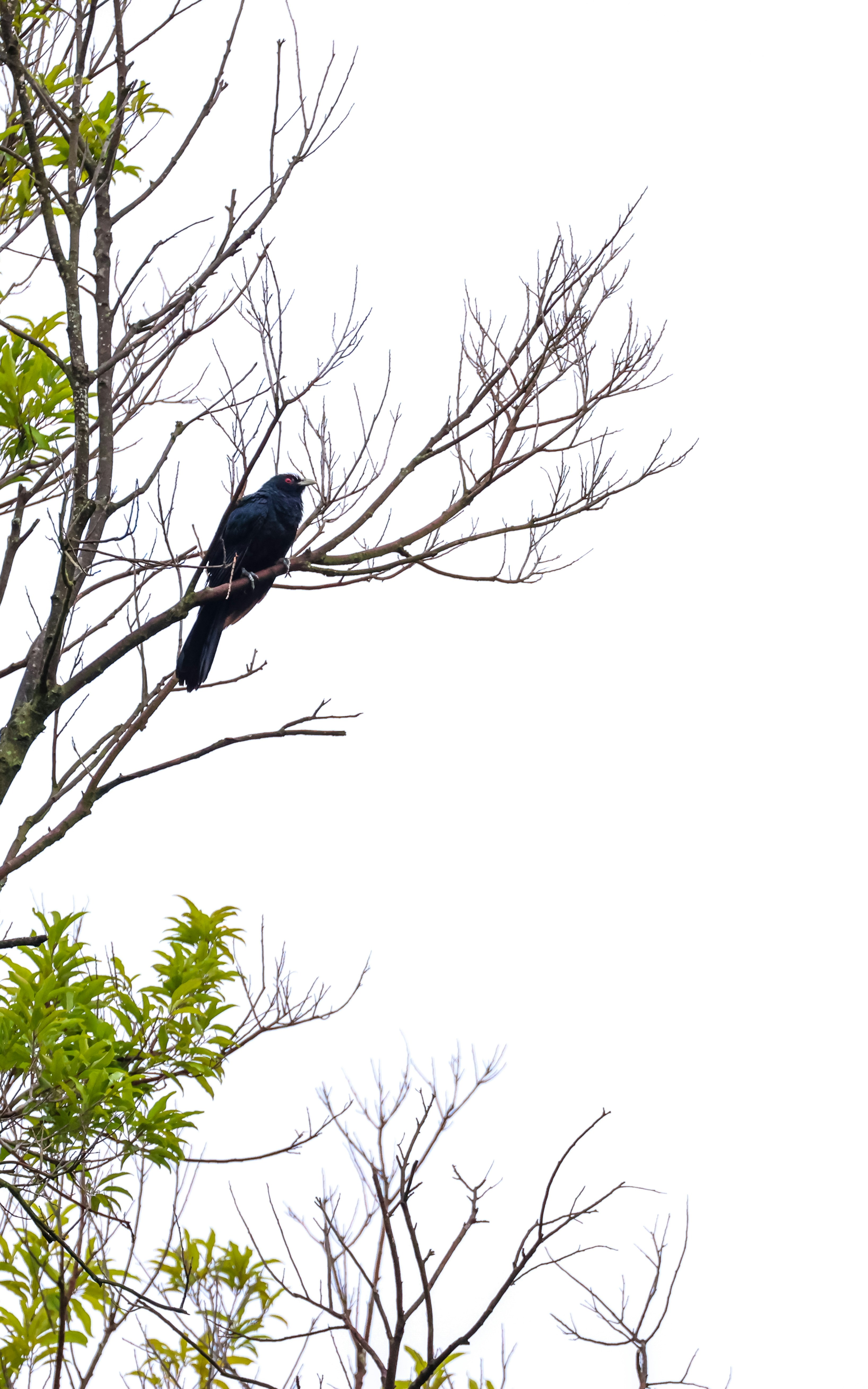 Photo by dickenslin76