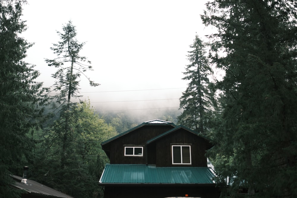 a house with a green roof surrounded by trees