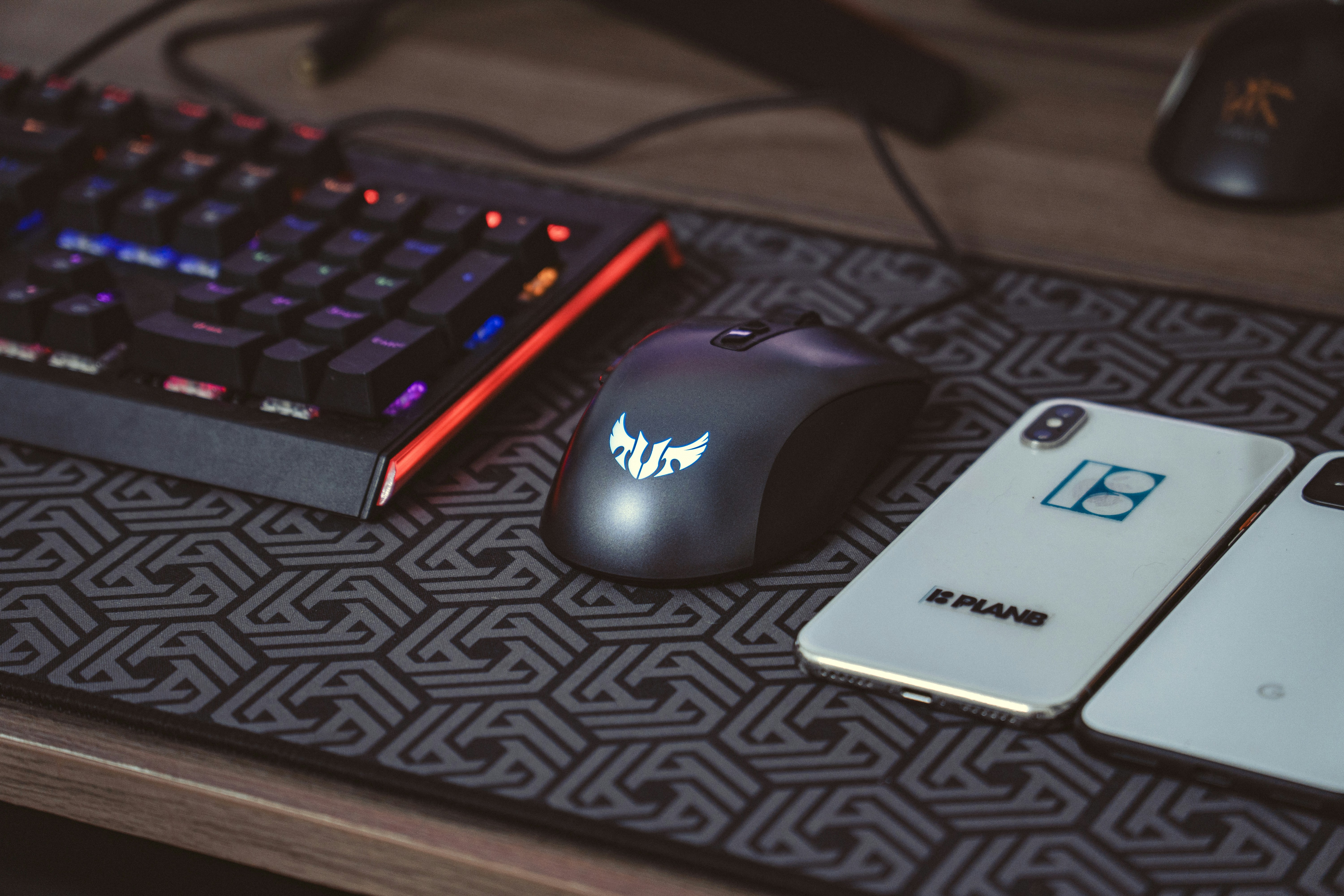 Photo by chaunguyengrafix