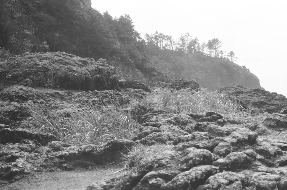 a black and white photo of a rocky beach