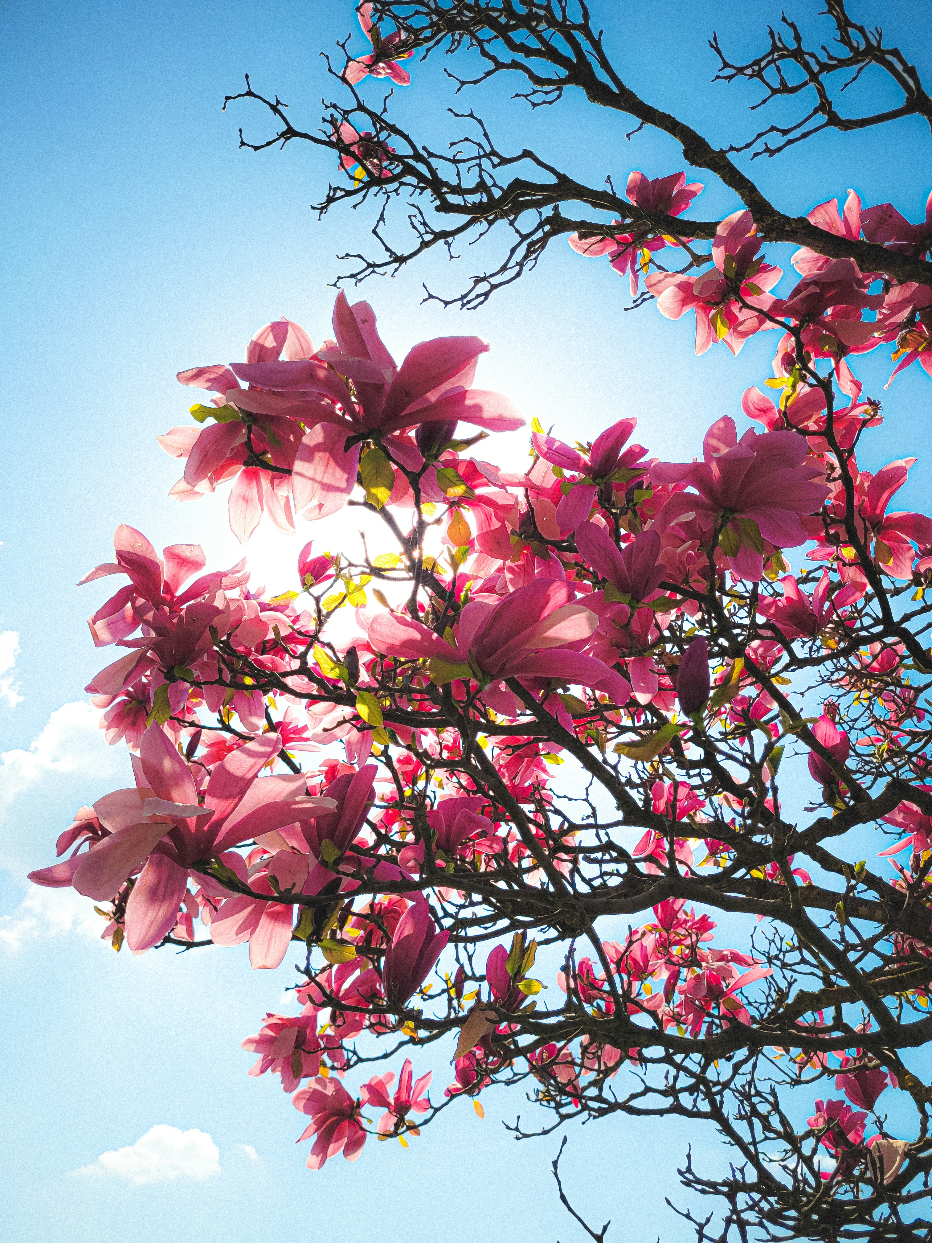 Photo by aayush_khokhar