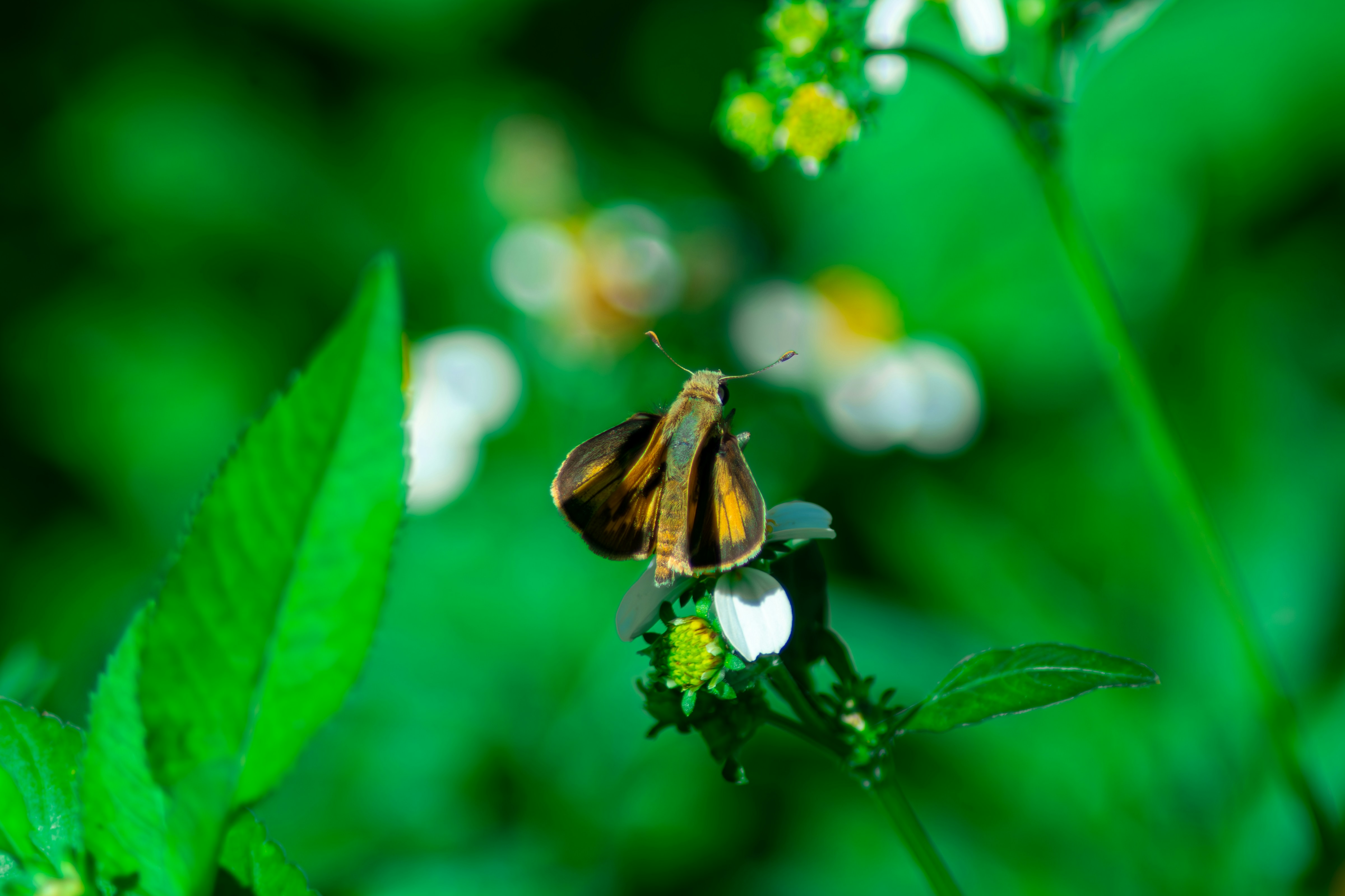 Photo by astro_civil