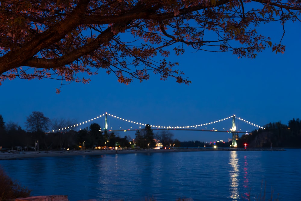 a bridge over a body of water at night