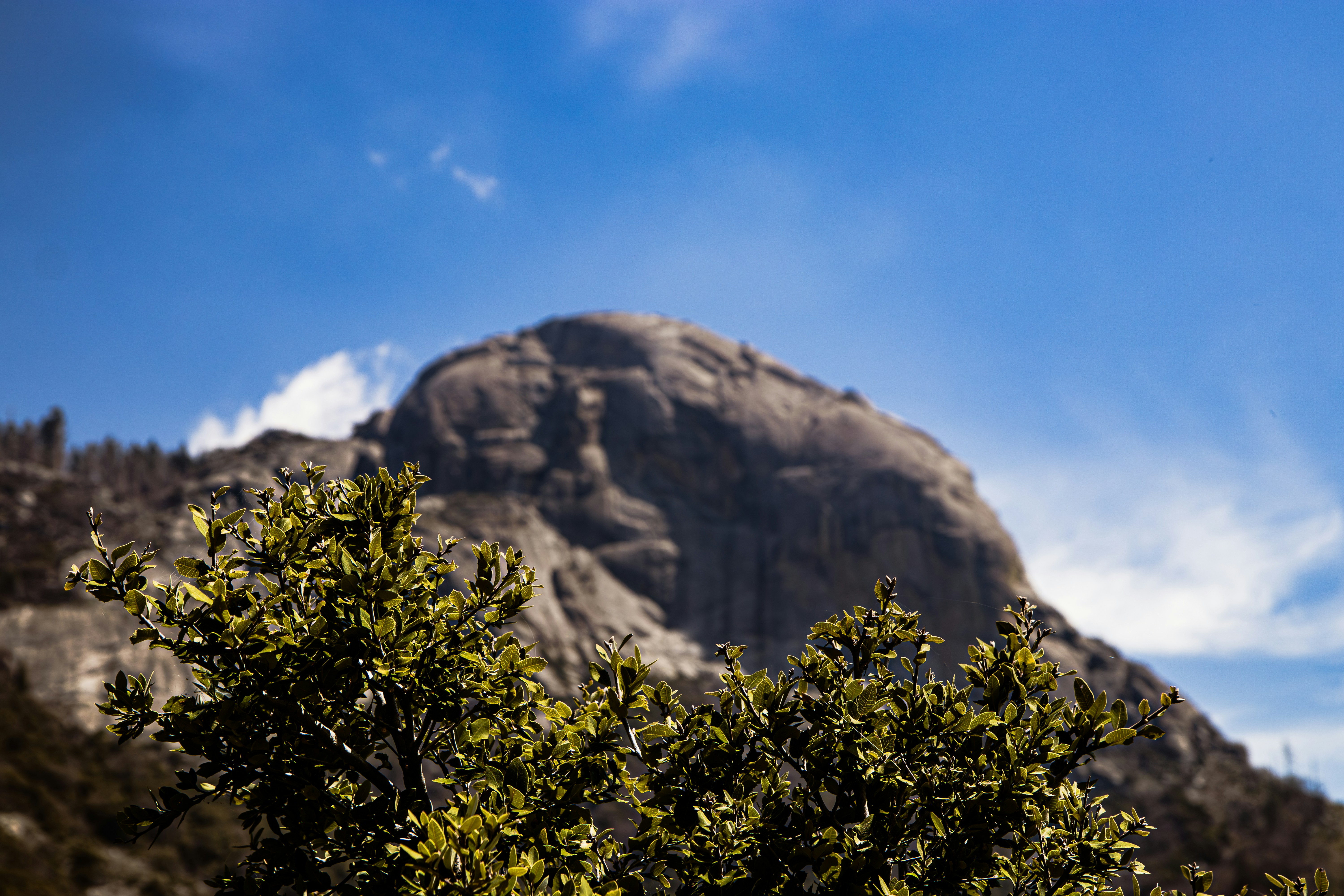 Photo by brice_cooper18