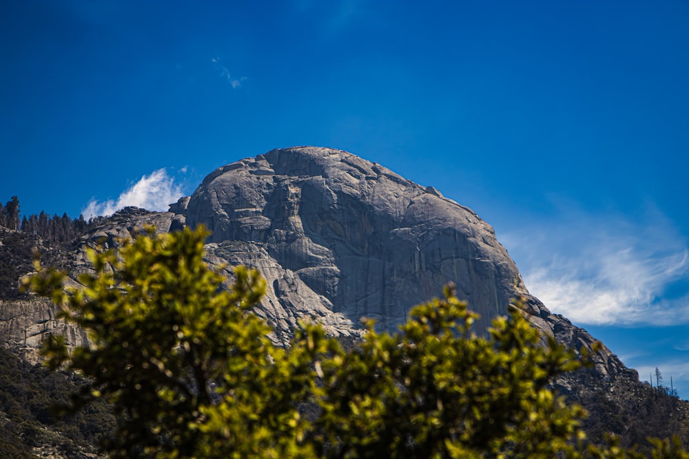 a large rock with a face carved into it