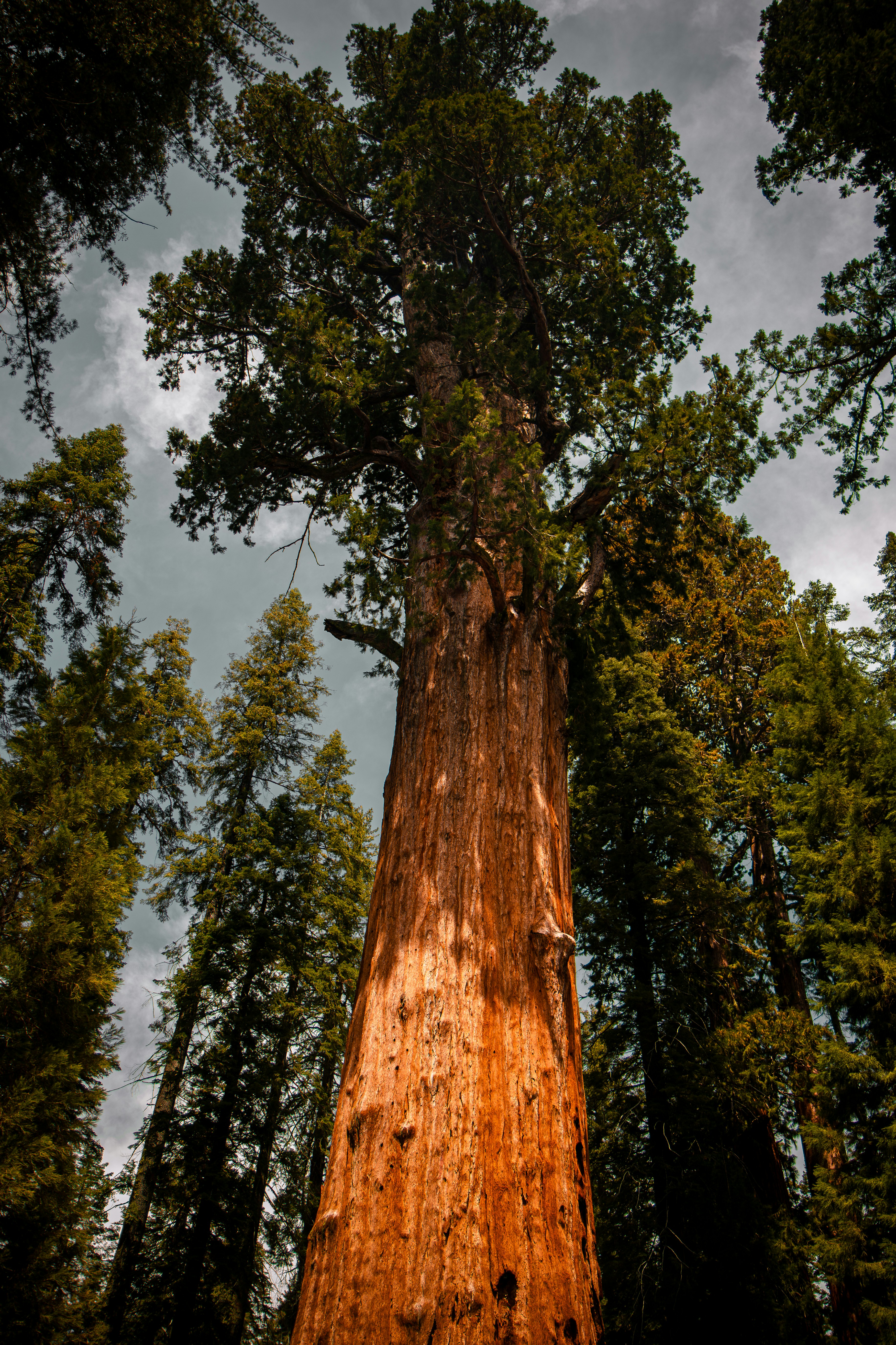 Photo by brice_cooper18