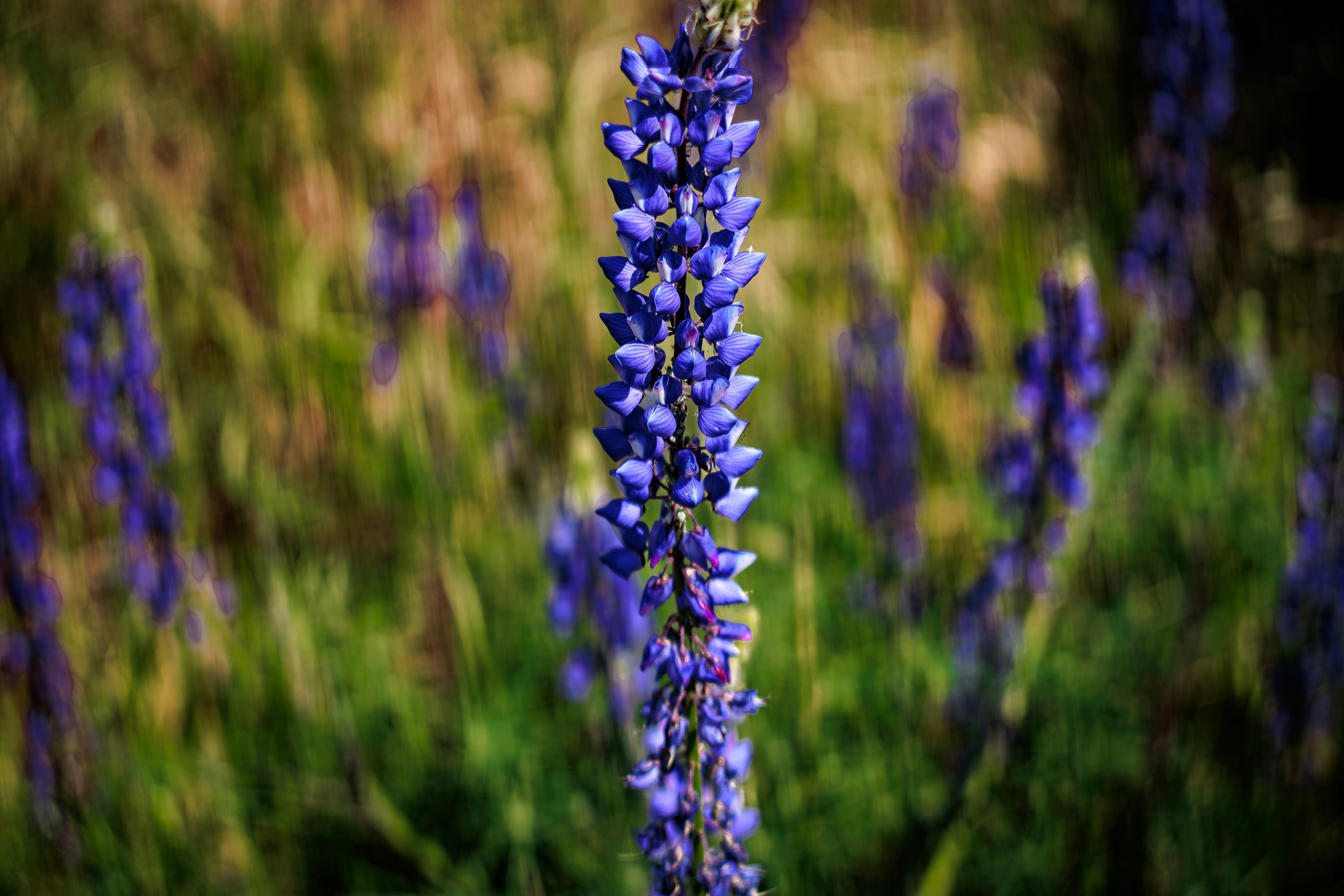 Photo by brice_cooper18