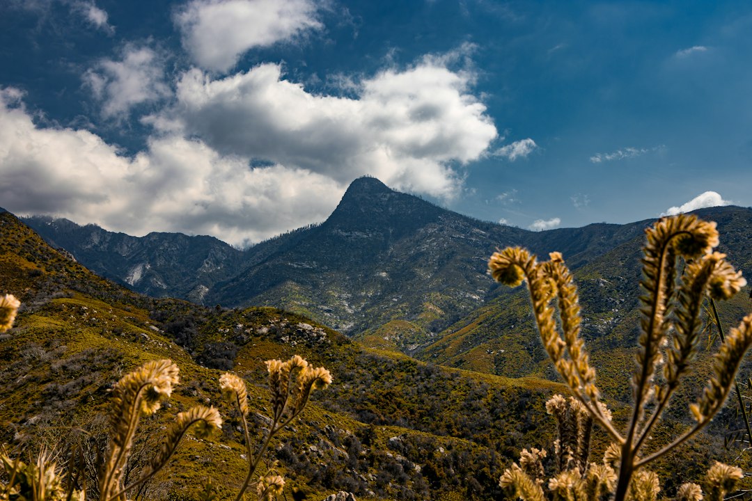 Kings Canyon National Park A Hidden Gem for Uncrowded Hiking and Se… — Kings Canyon National Park…, photo 3