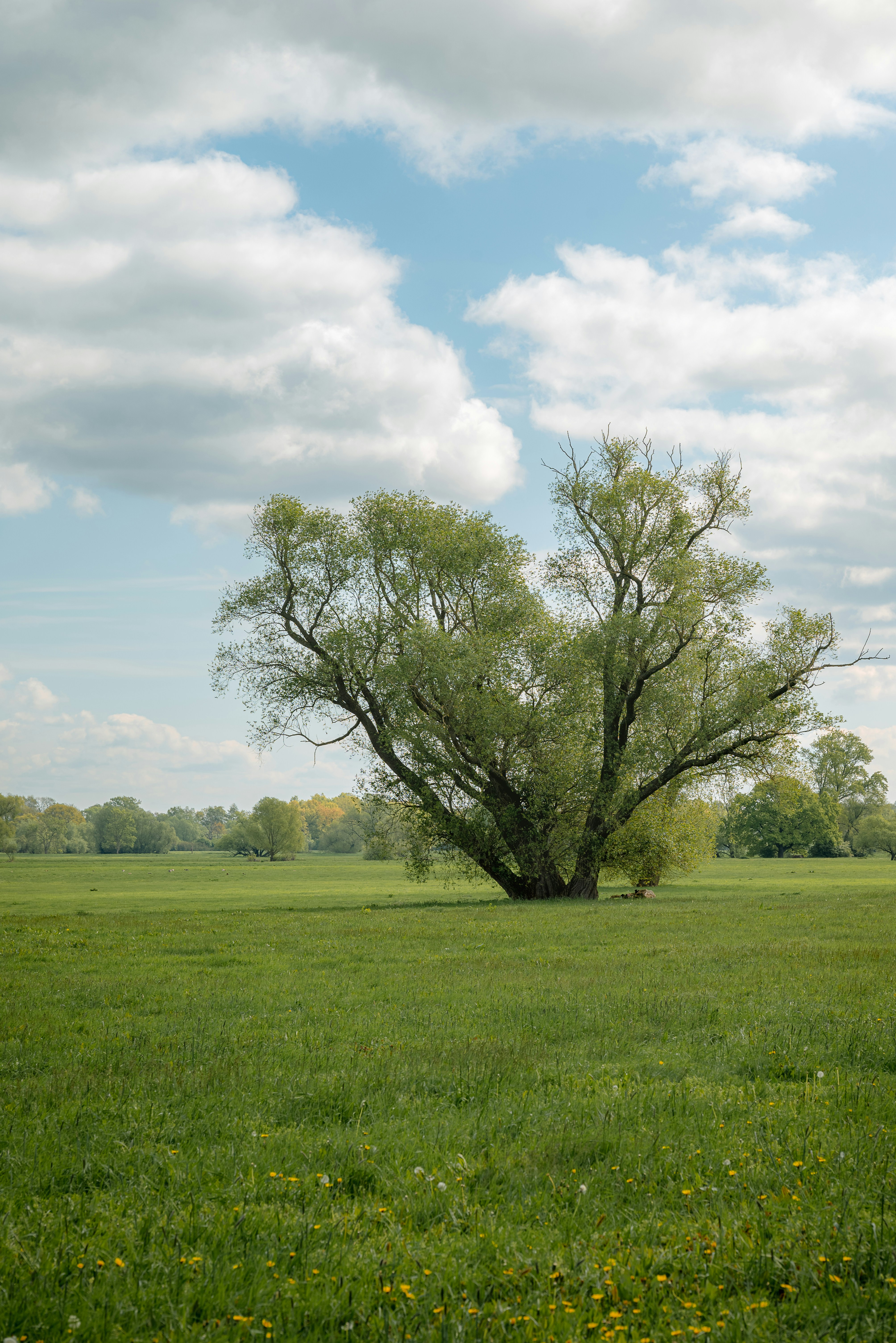 Photo by jetztabertempo