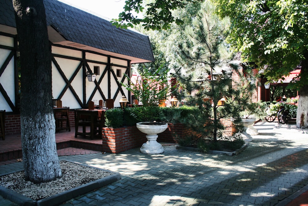 a courtyard with a potted planter and trees