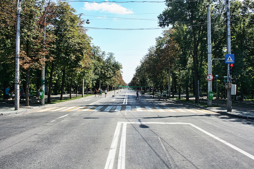 una strada fiancheggiata da alberi e linee elettriche