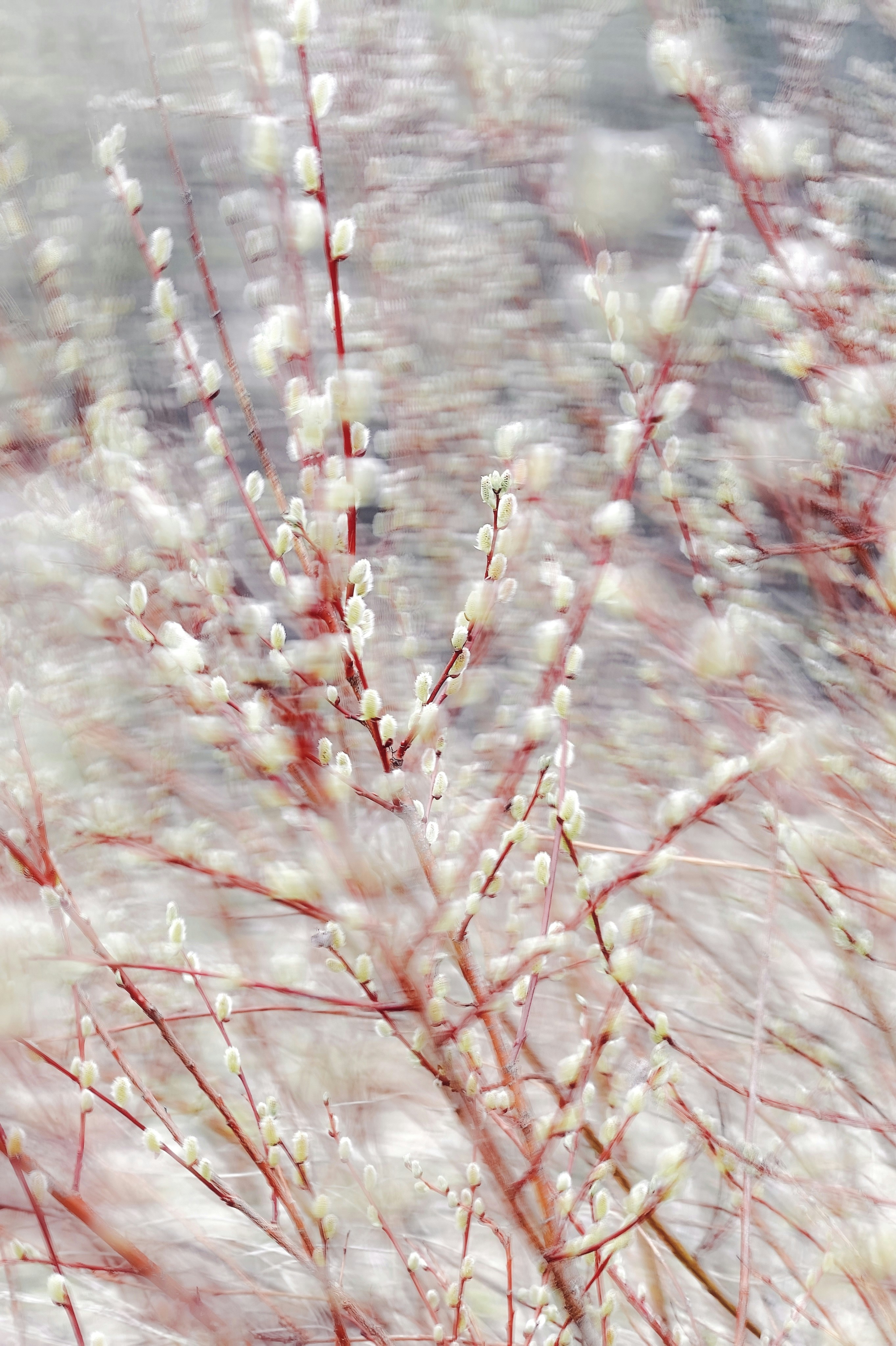 Photo by eugene_golovesov