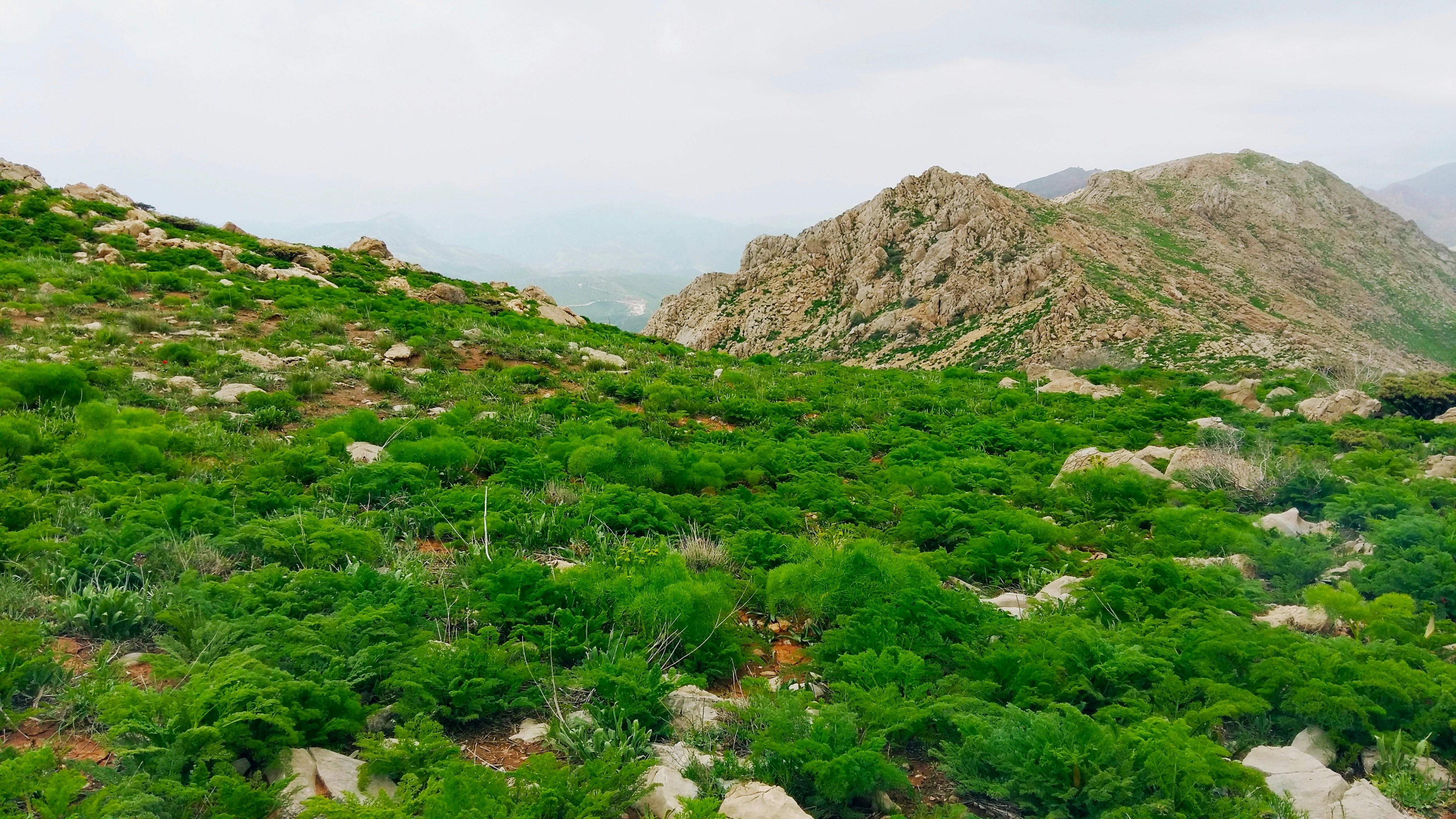 Photo by rashedpaykary