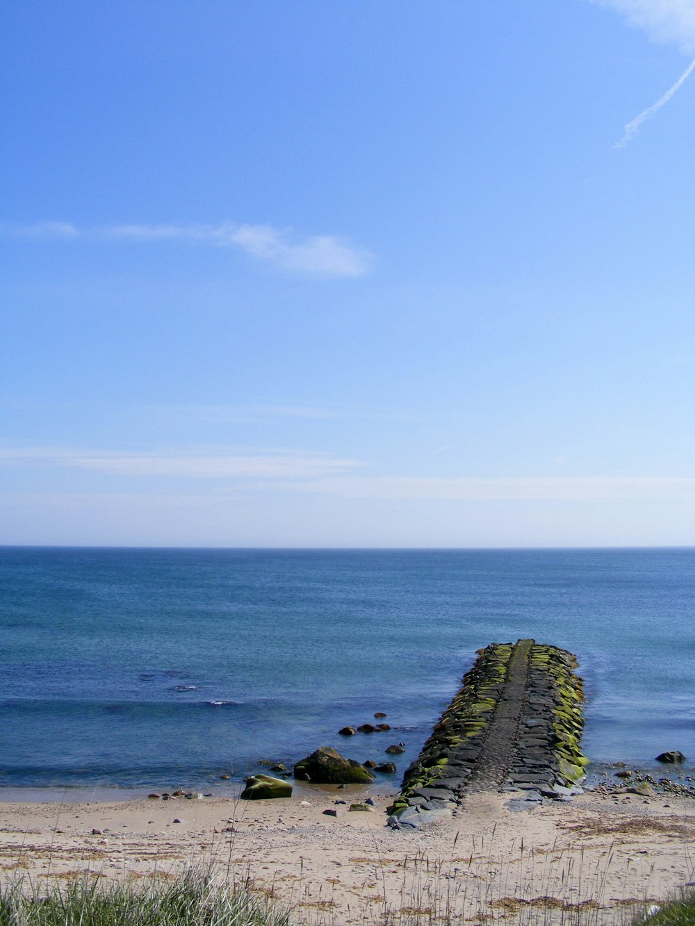 una panchina seduta in cima a una spiaggia sabbiosa vicino all'oceano