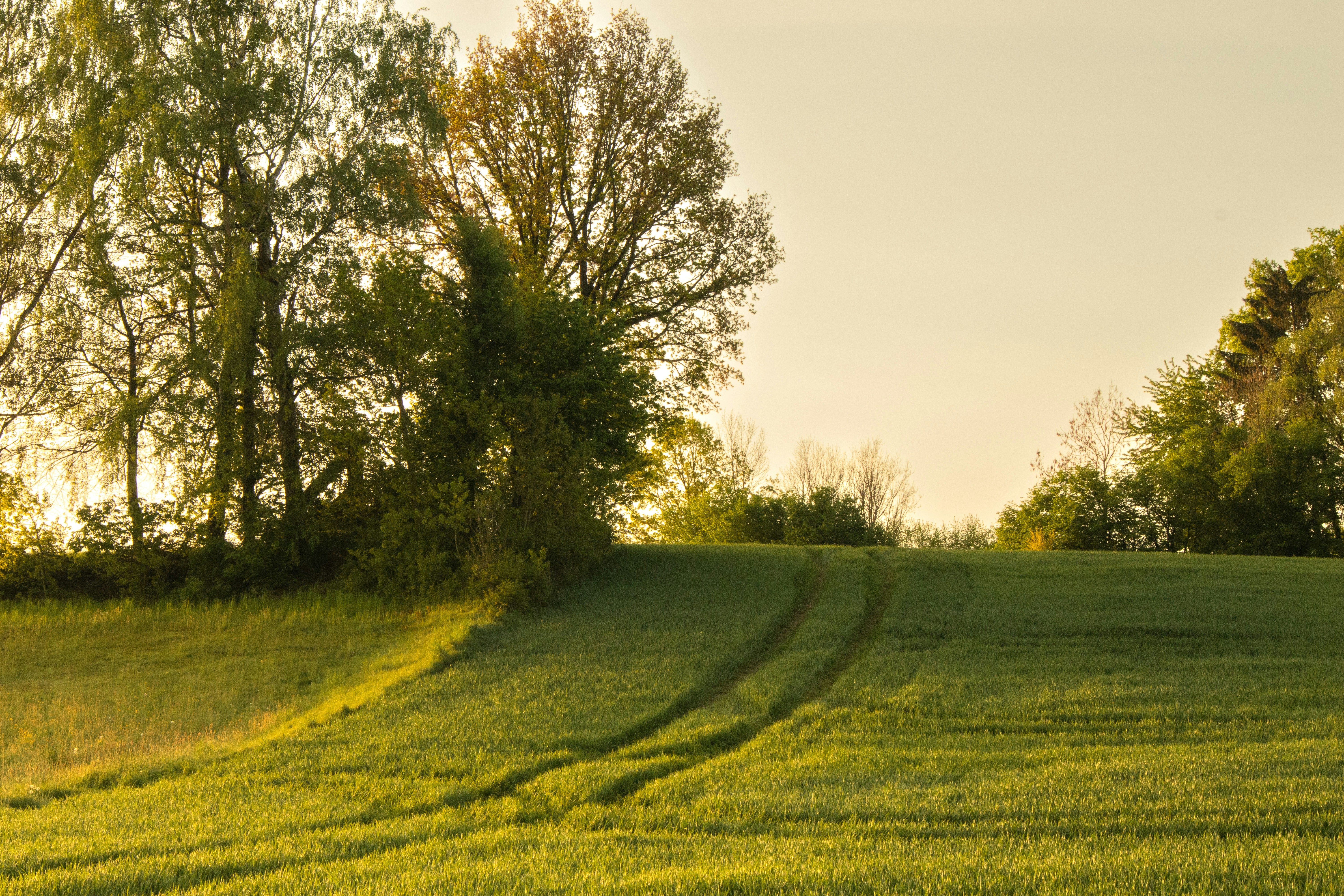 Photo by marko_lengyel