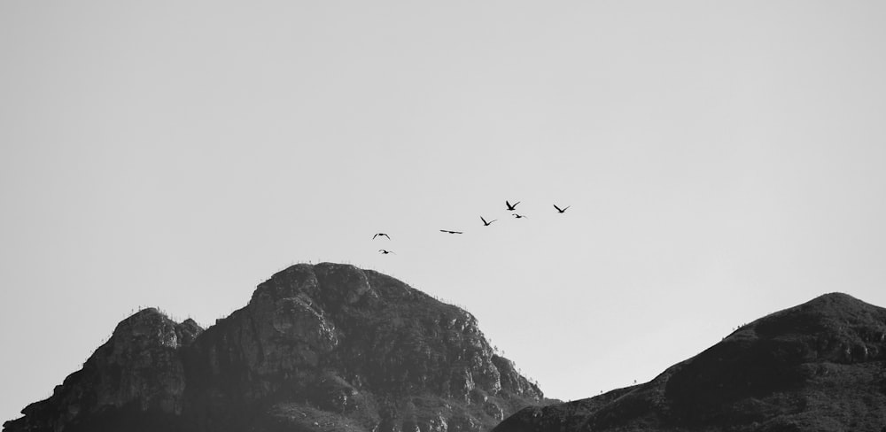 a flock of birds flying over a mountain range