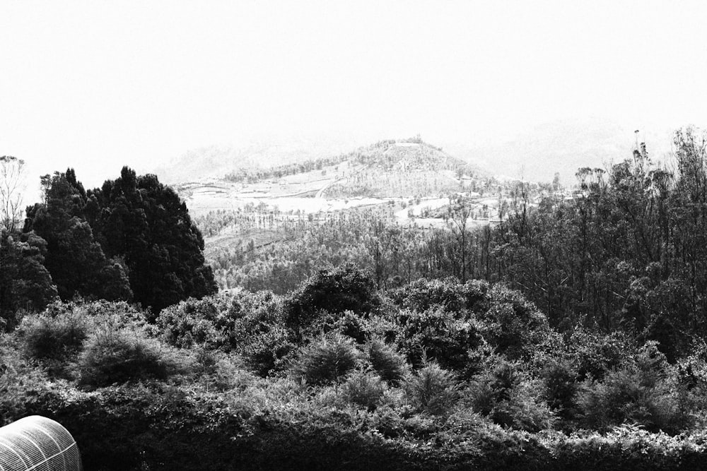 a black and white photo of trees and mountains