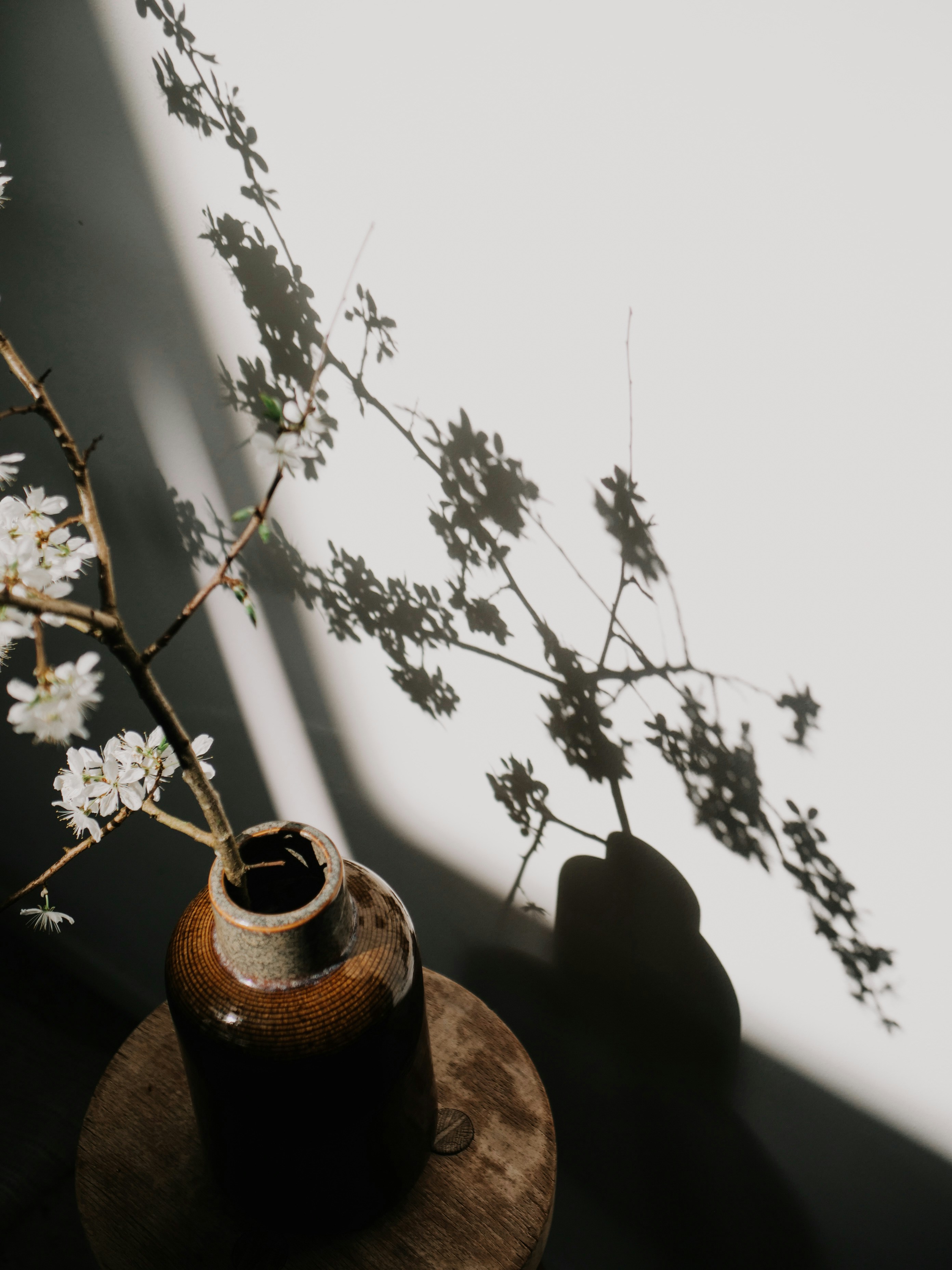 Photo by paulinaherpel