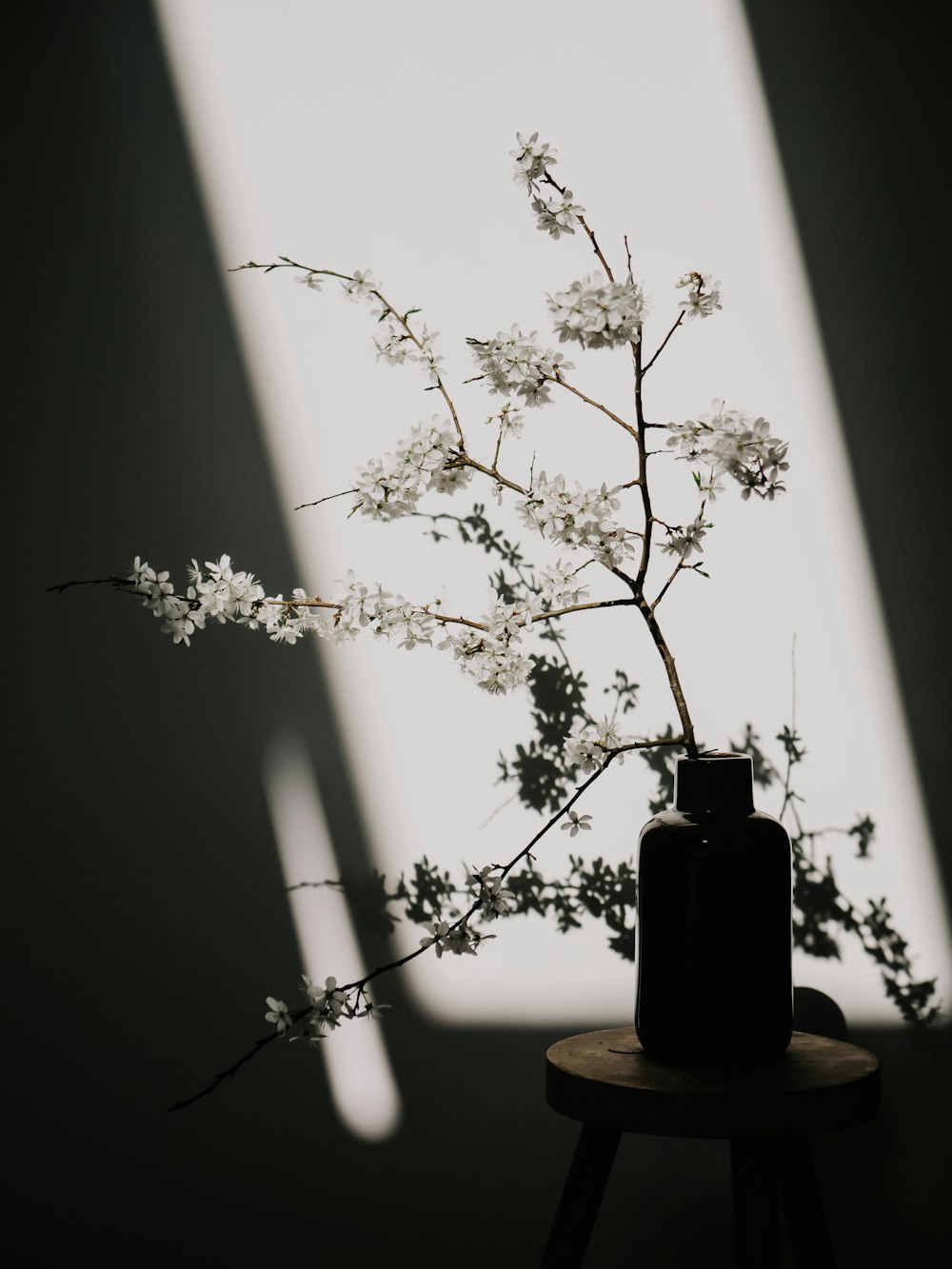 a black vase with white flowers on a table